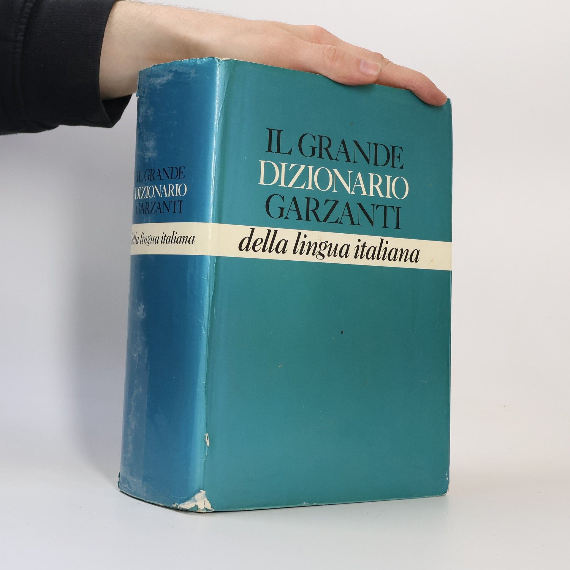 Lucio Felici Il Grande dizionario Garzanti della lingua italiana