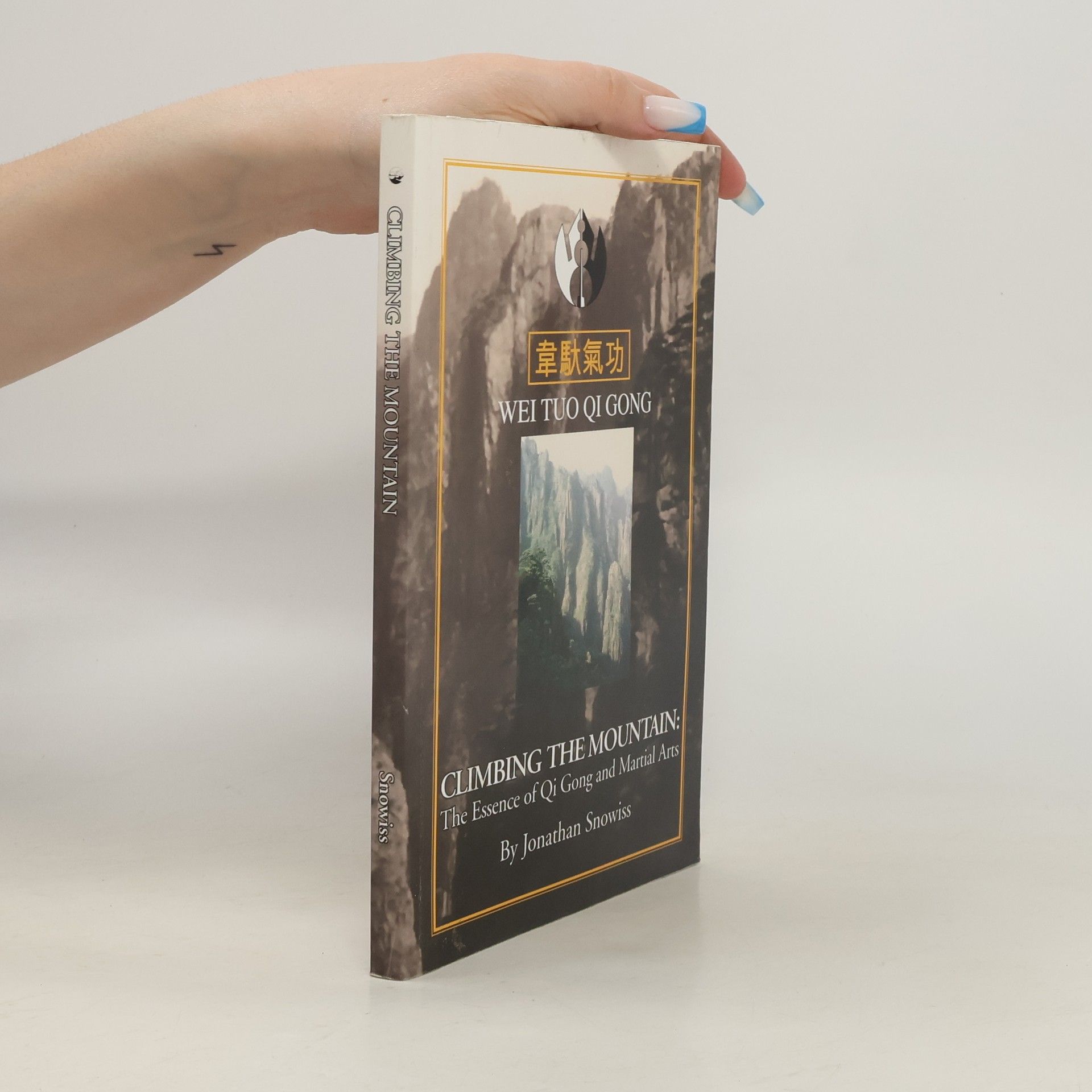 Jonathan Snowiss Climbing the Mountain