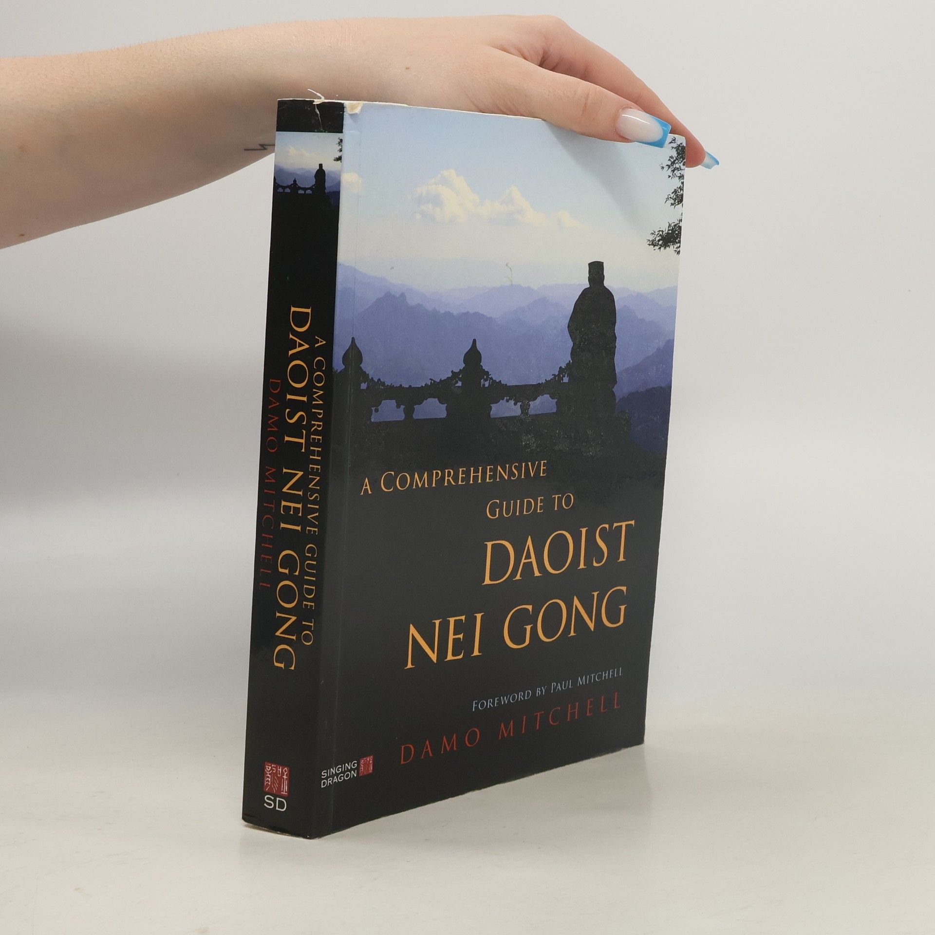 Damo Mitchell A Comprehensive Guide to Daoist Nei Gong