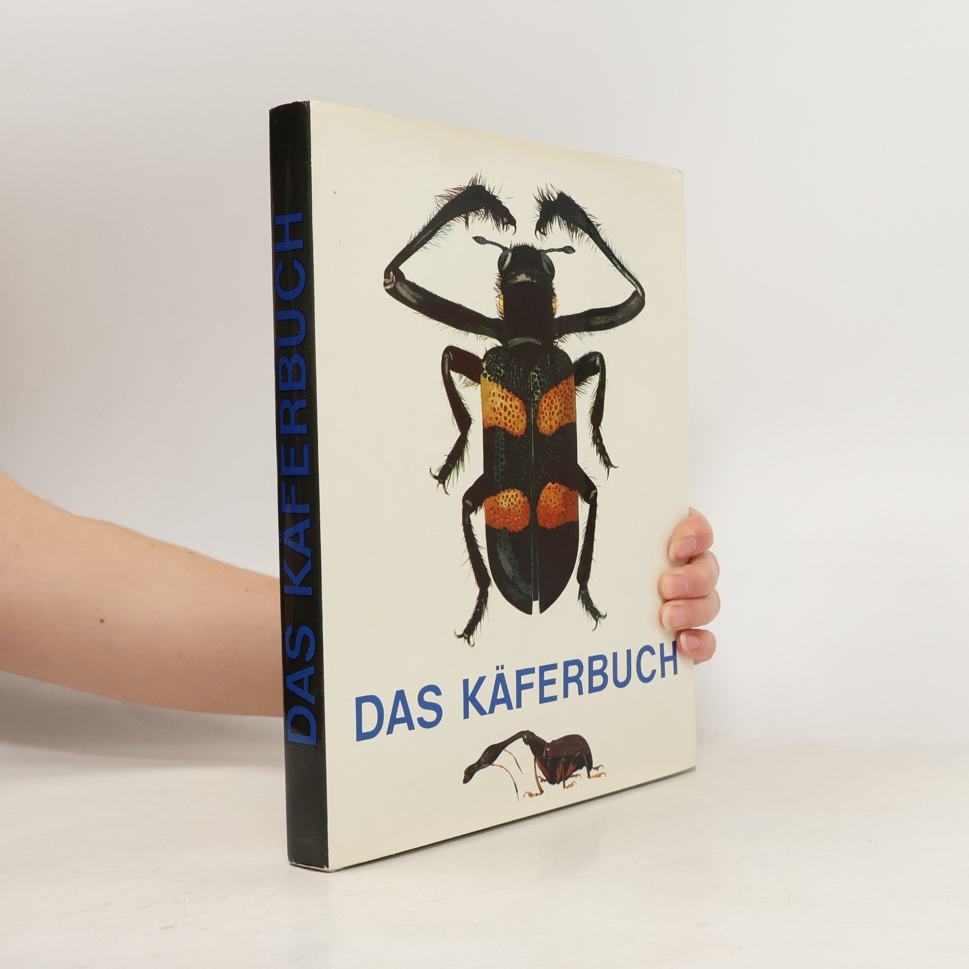 Das Käferbuch