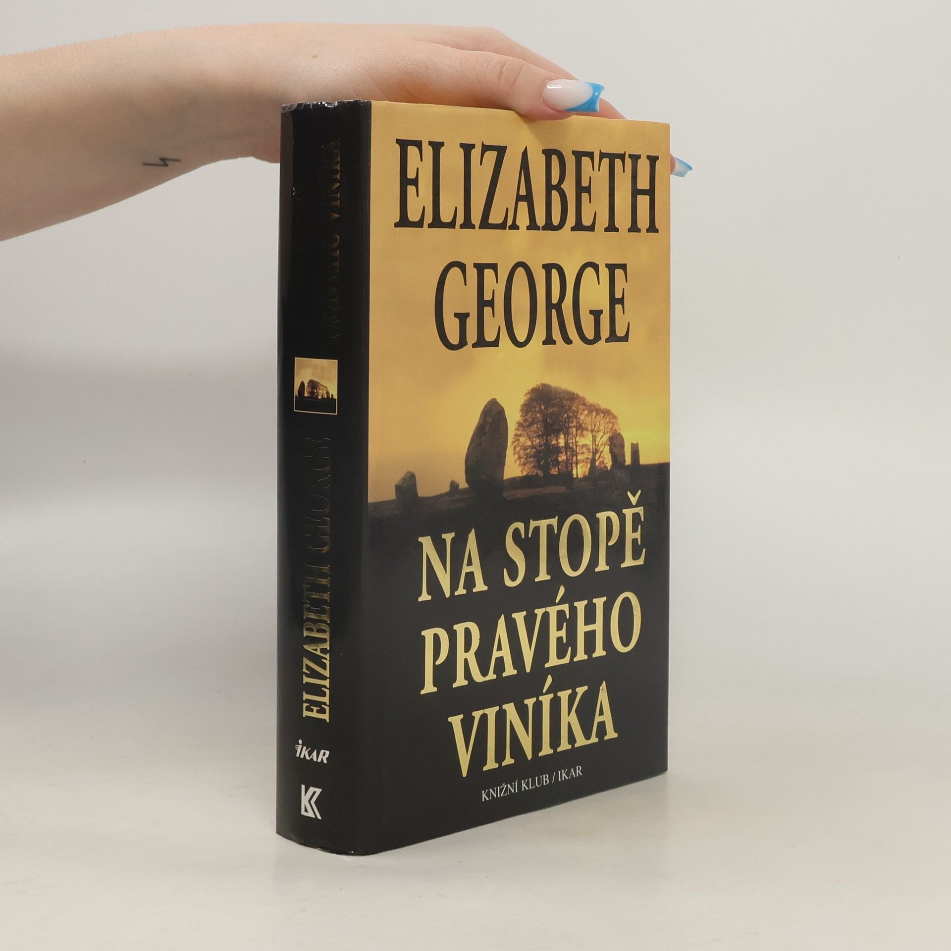 Na stopě pravého viníka