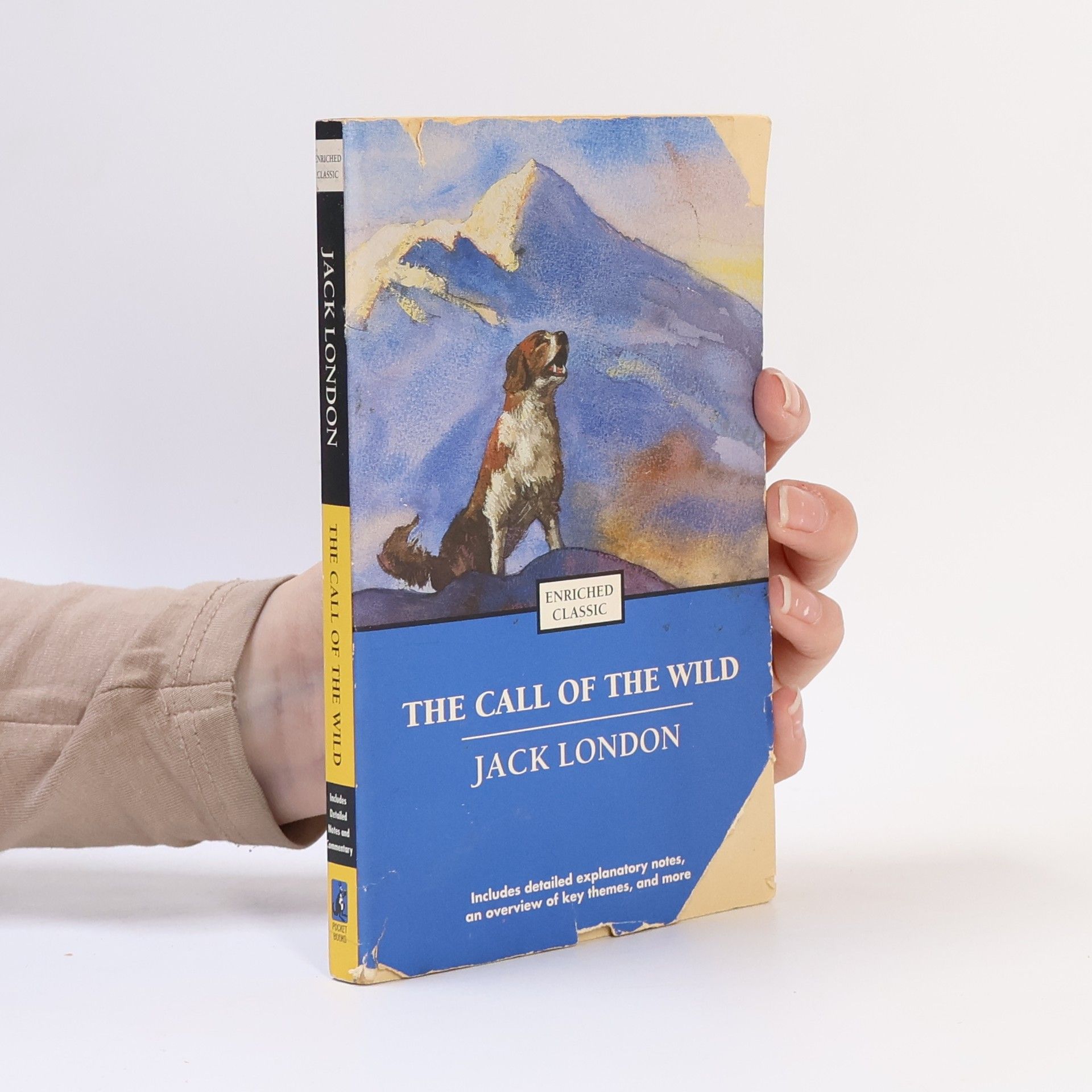 Jack London Enriched Classics: The Call of the Wild
