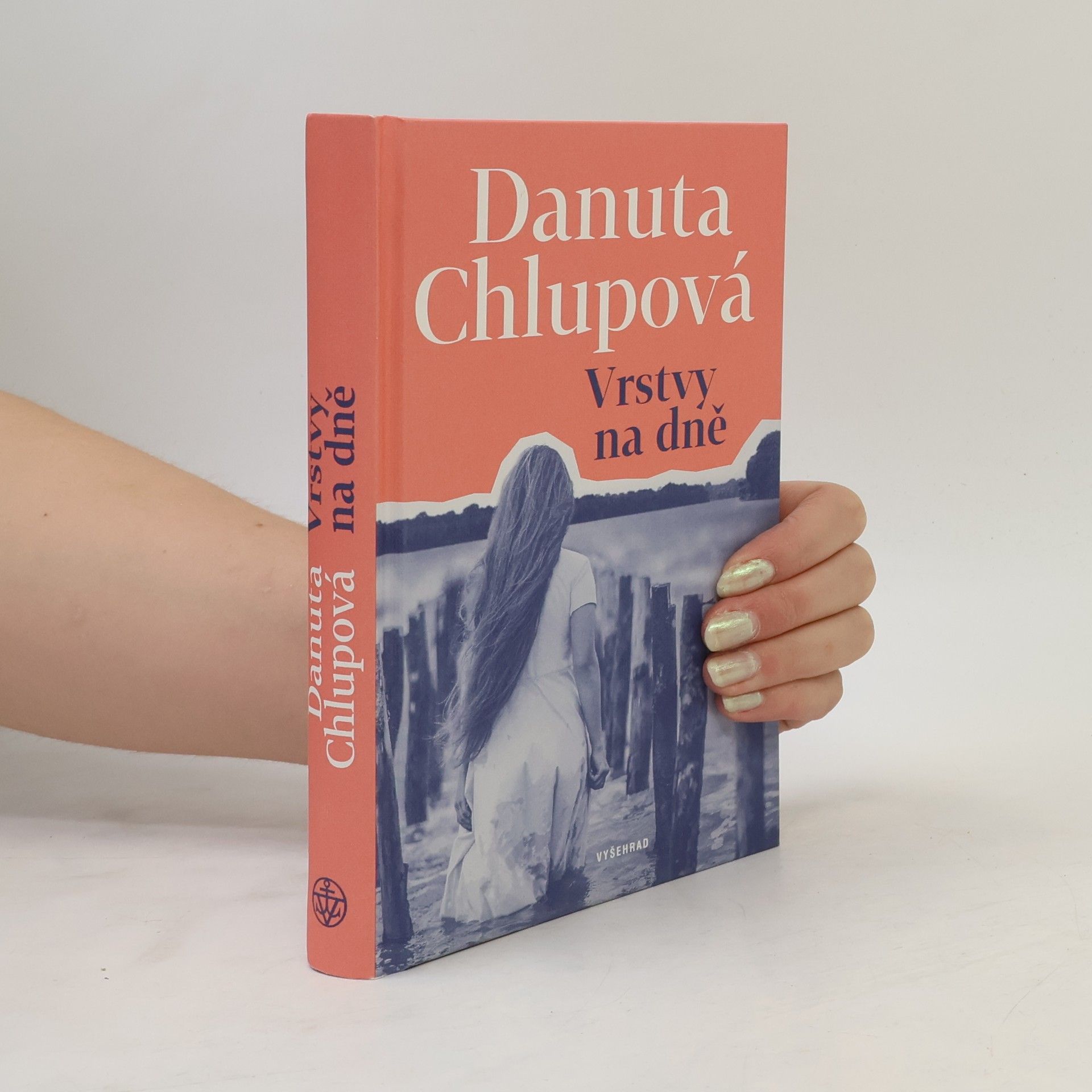 Danuta Chlupová Vrstvy na dně