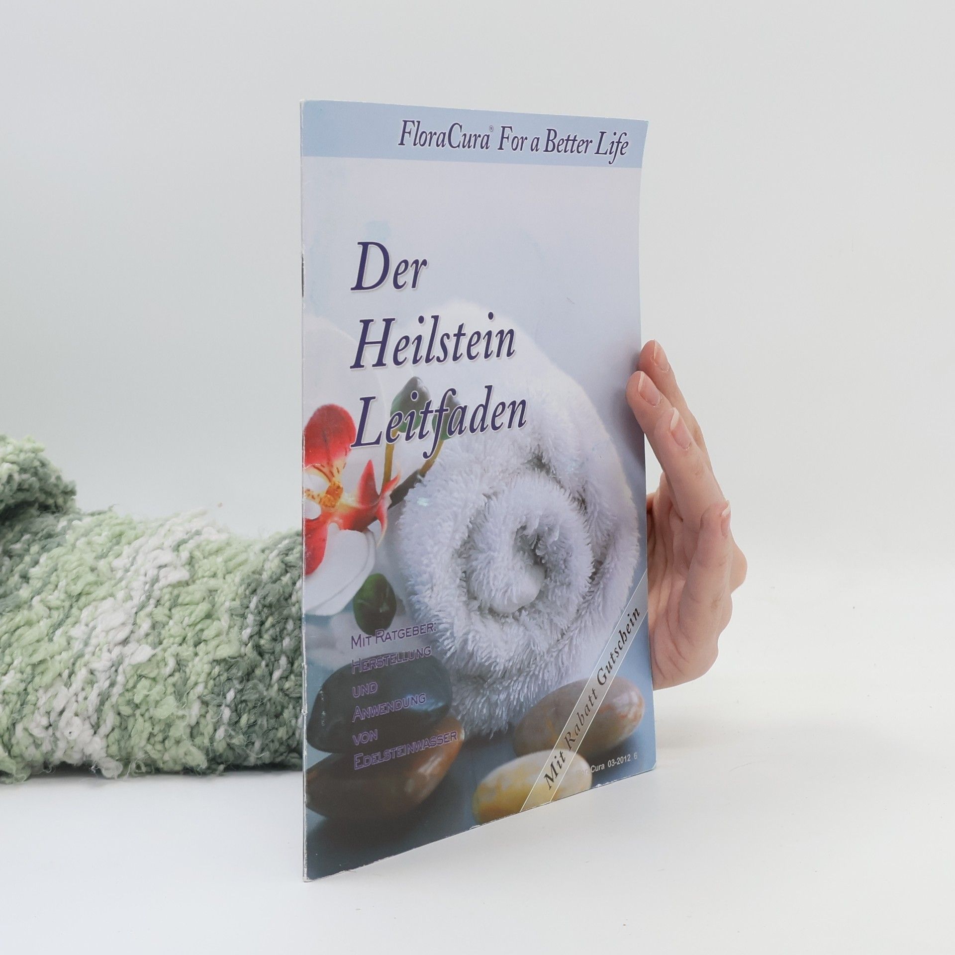 Kolektív autorov Der Heilstein-Leitfaden