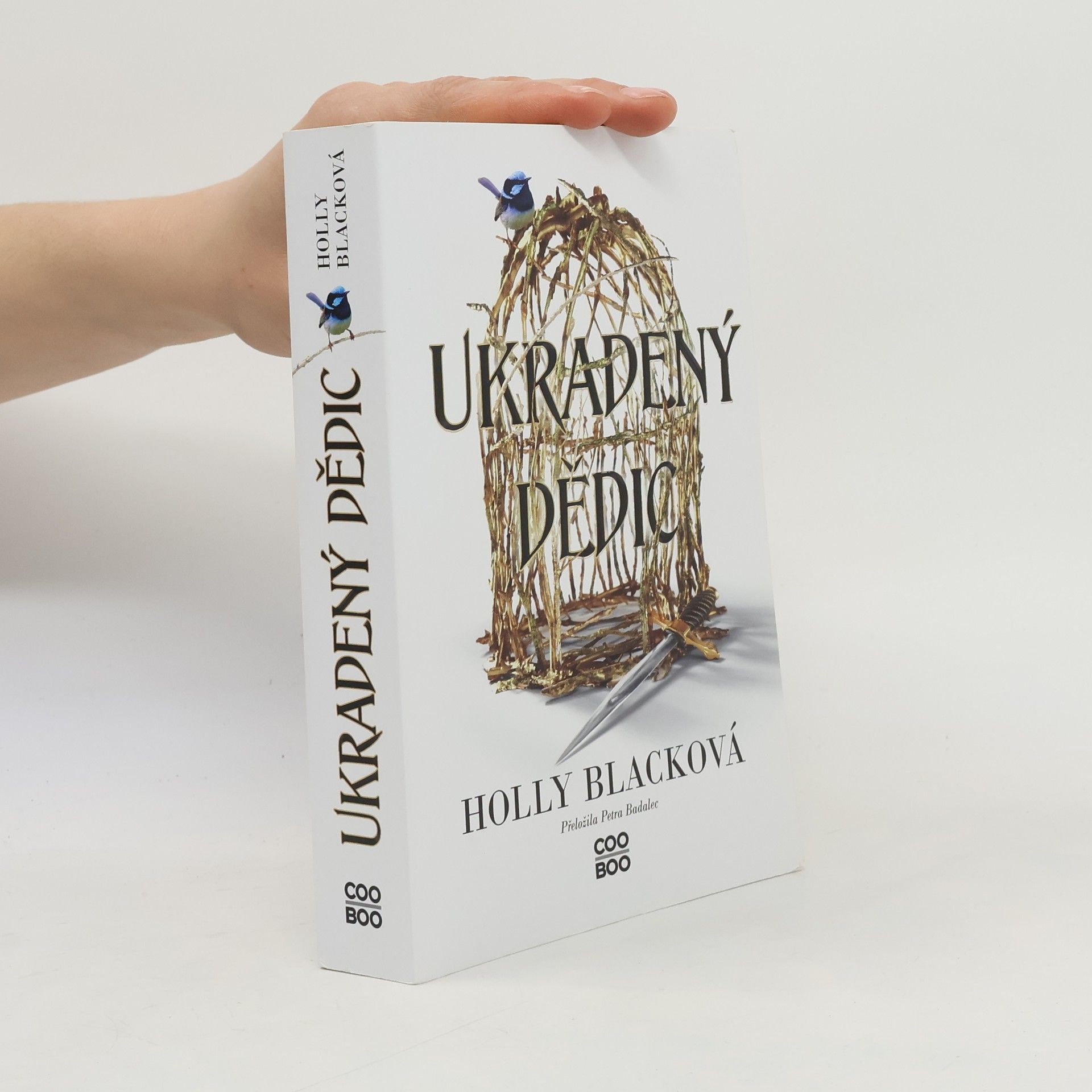 Holly Black Ukradený dědic