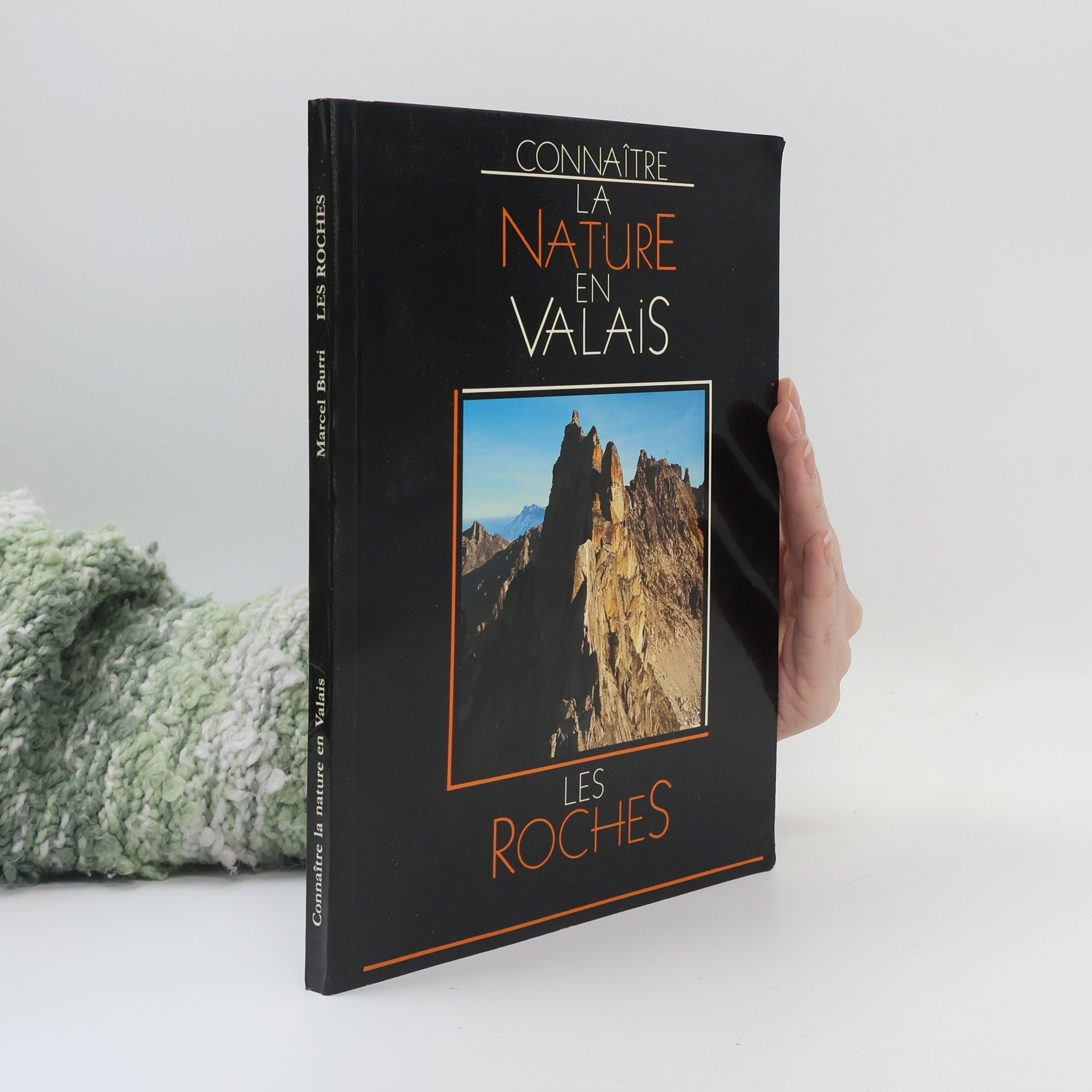 Marcel Burri Les roches