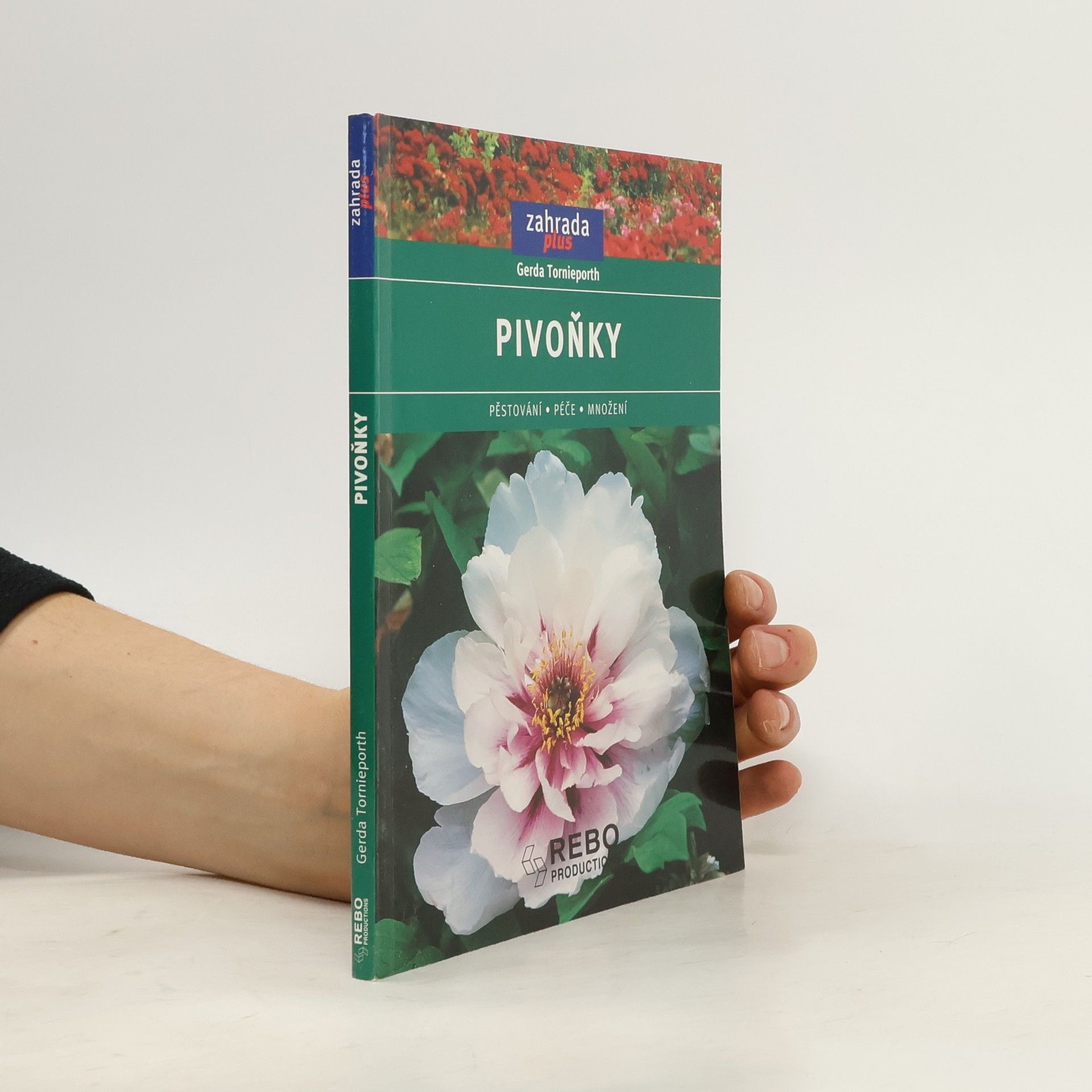 Gerda Tornieporth Pivoňky