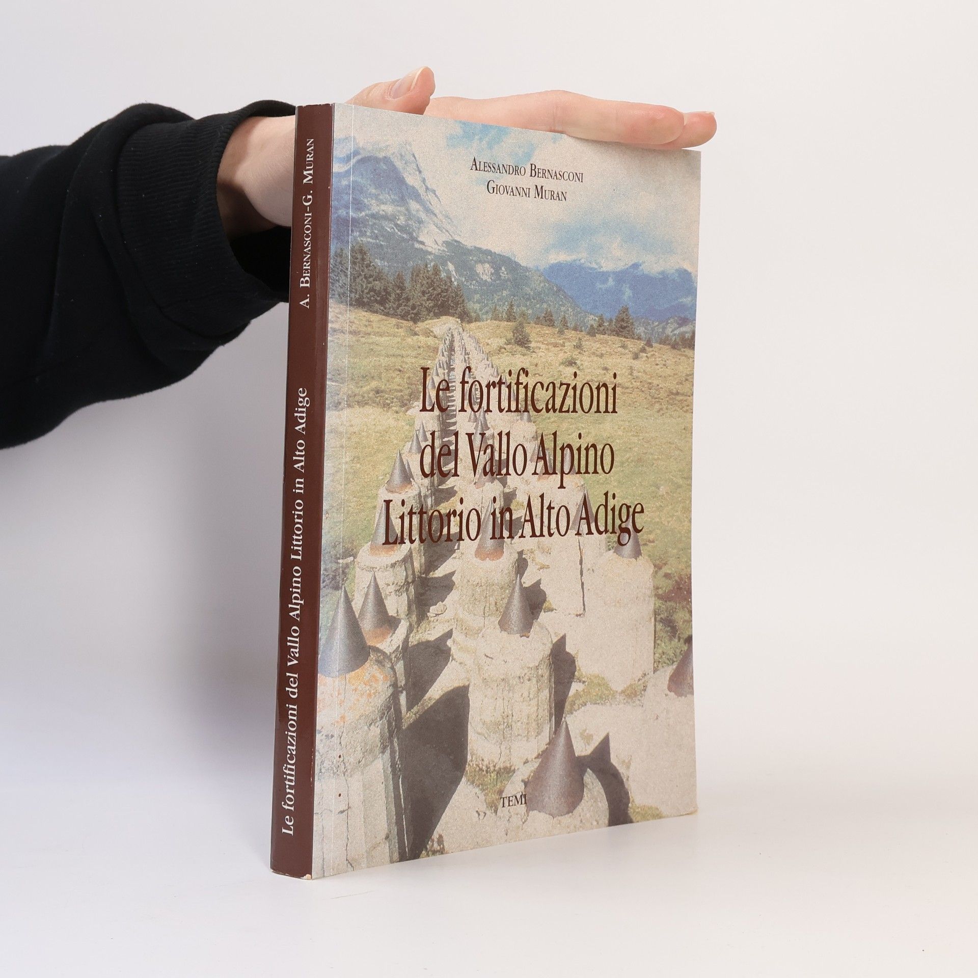 Enrico Castelnuovo Il Duomo di Trento: Pitture, arredi e monumenti