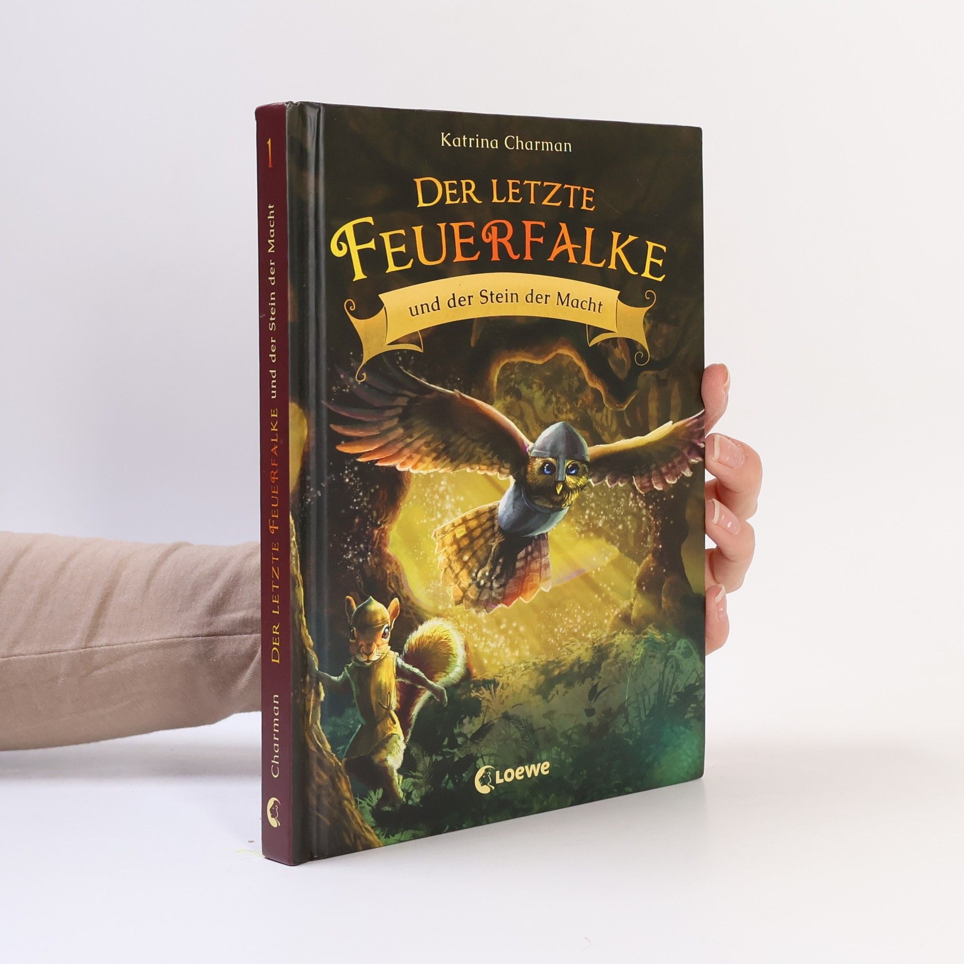 Katrina Charman Der letzte Feuerfalke und der Stein der Macht
