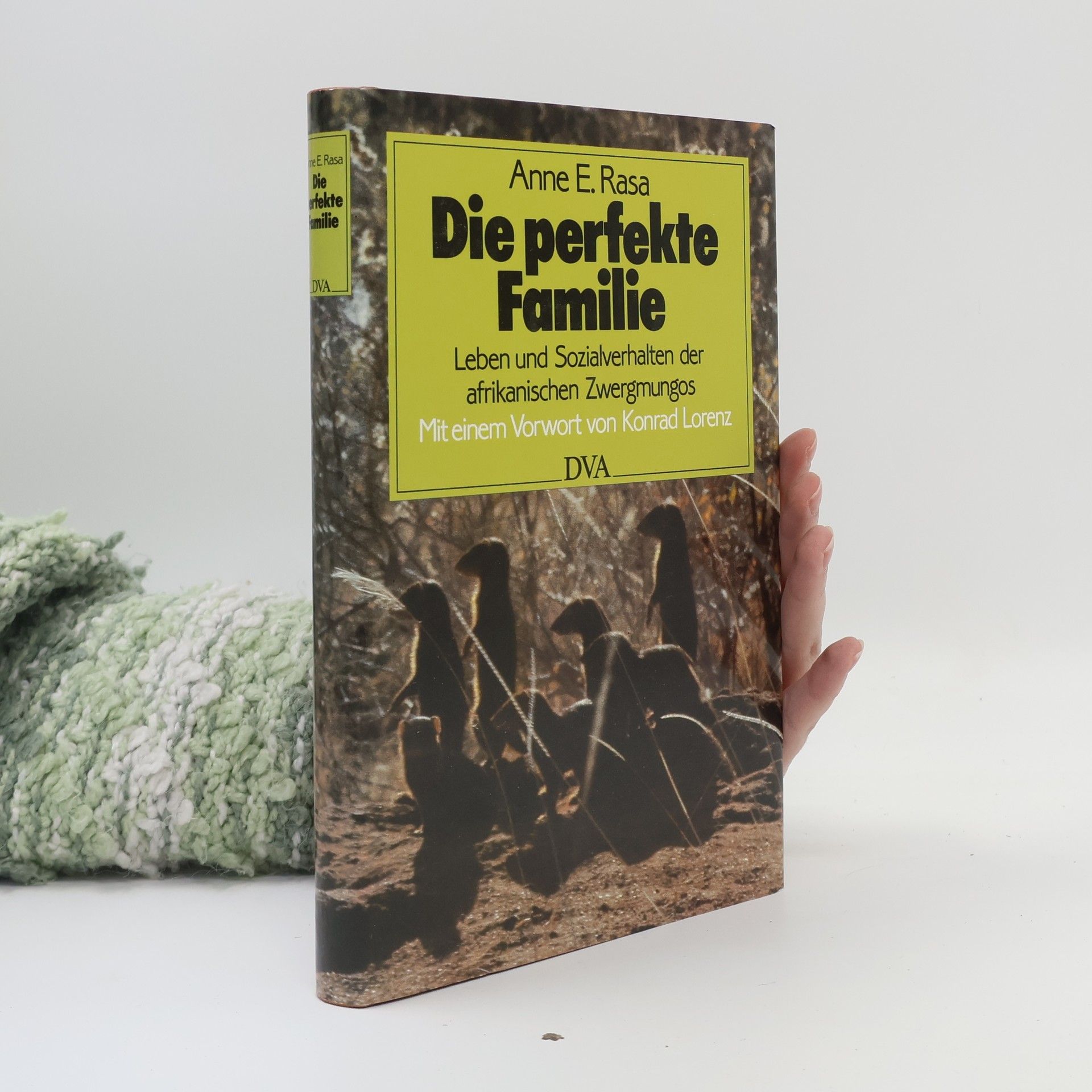 Anne E. Rasa Die perfekte Familie