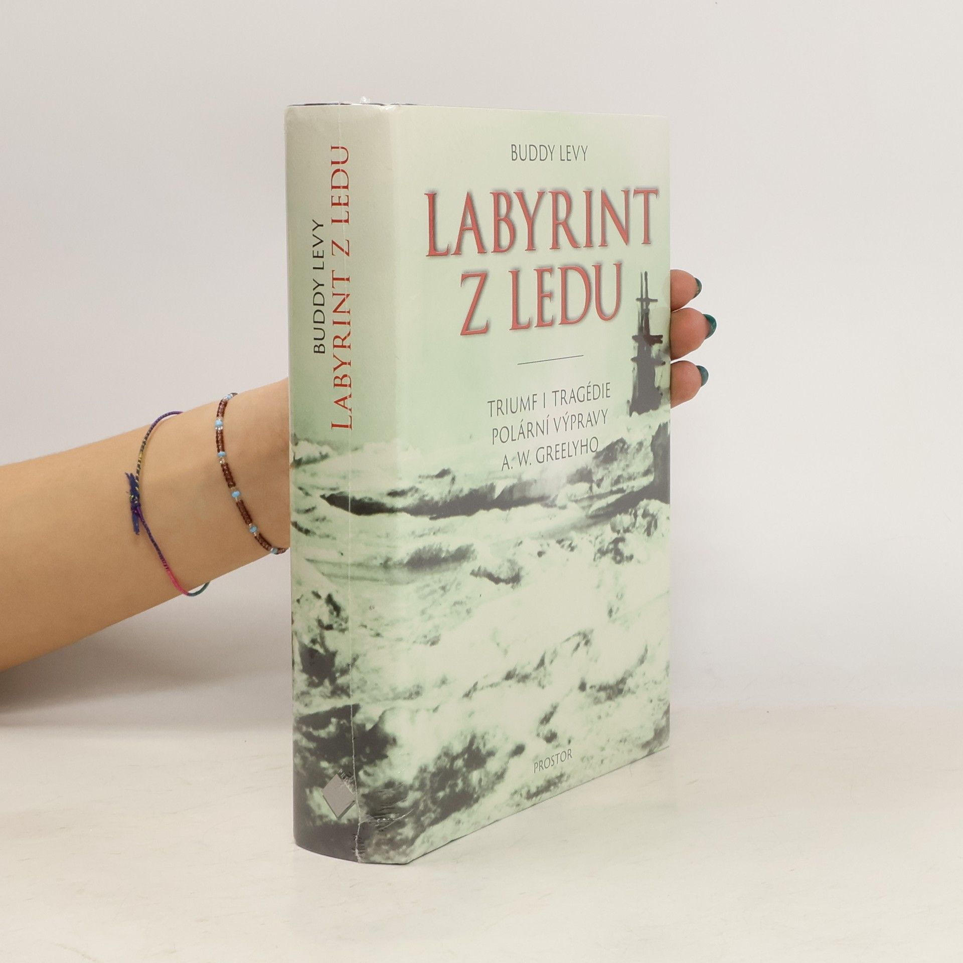 Buddy Levy Labyrint z ledu