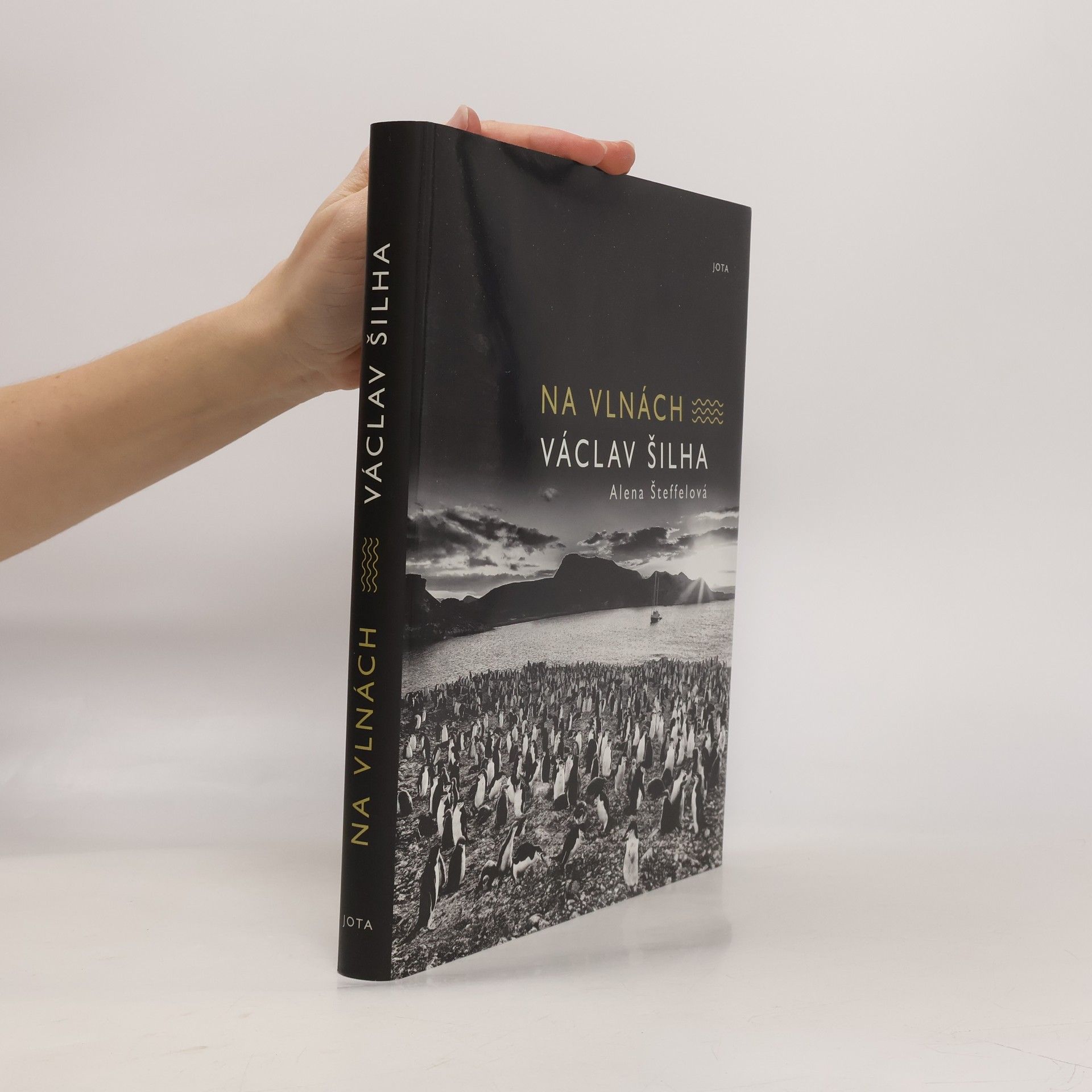 Václav Šilha Na vlnách