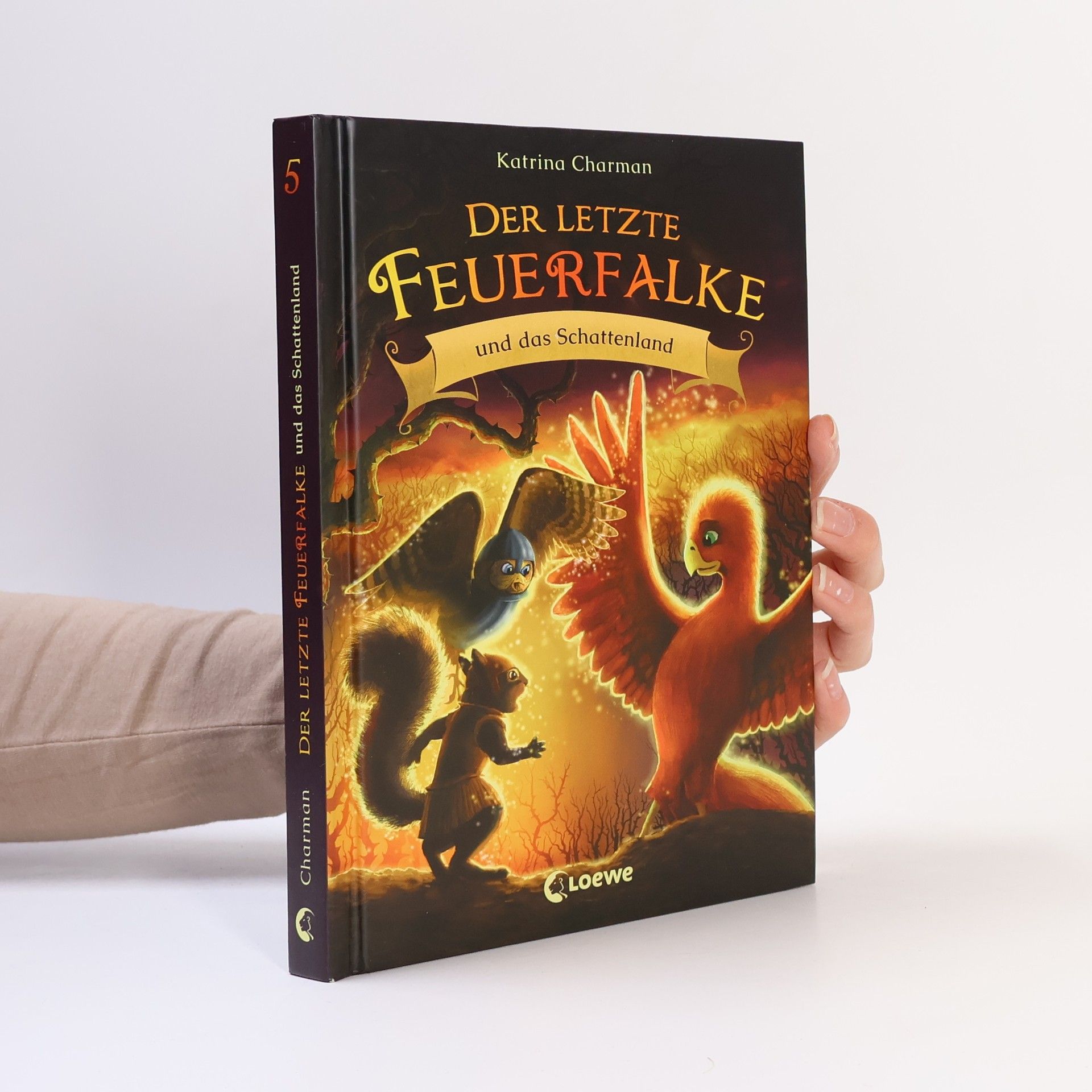 Katrina Charman Der letzte Feuerfalke und das Schattenland