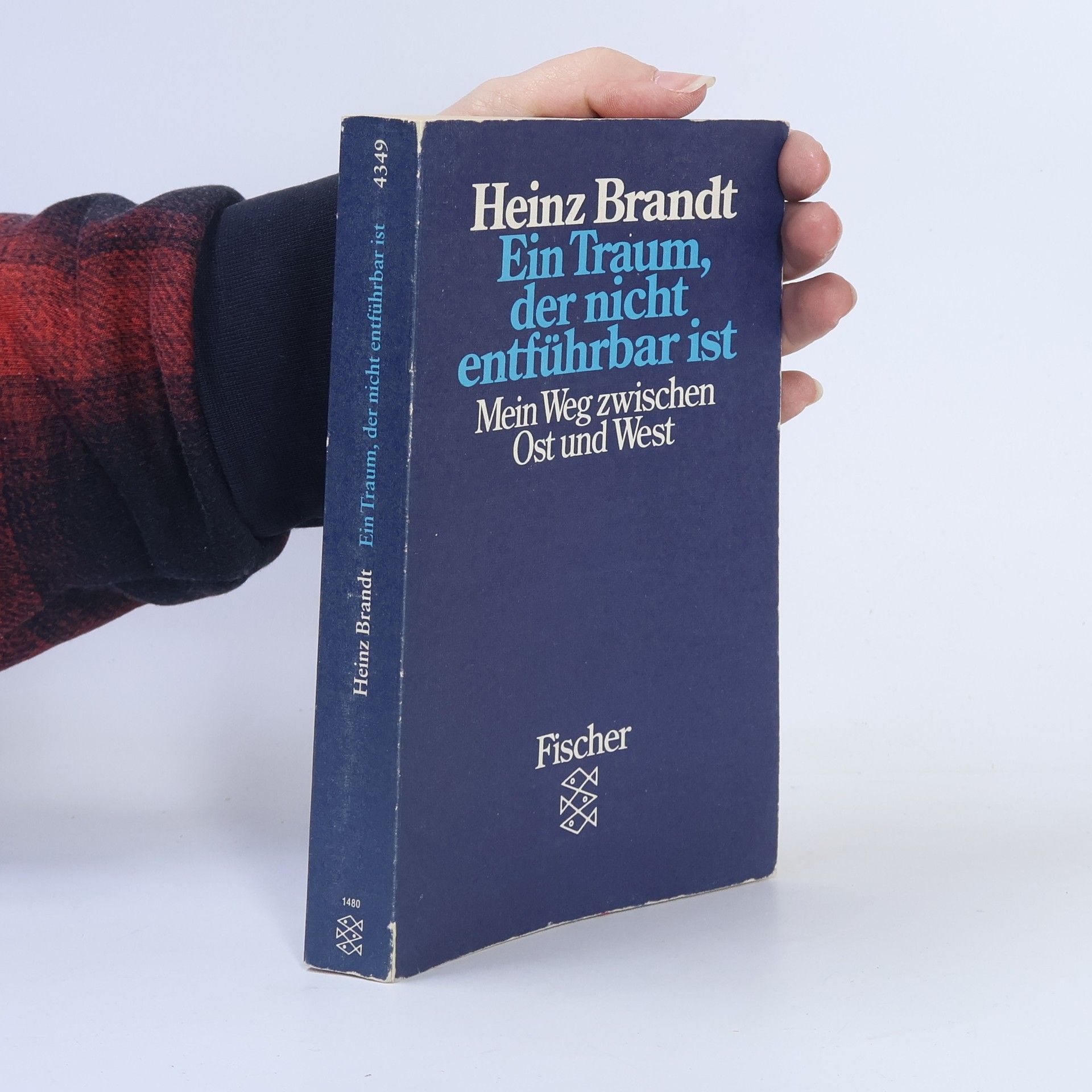 Heinz Brandt Ein Traum, der nicht entführbar ist