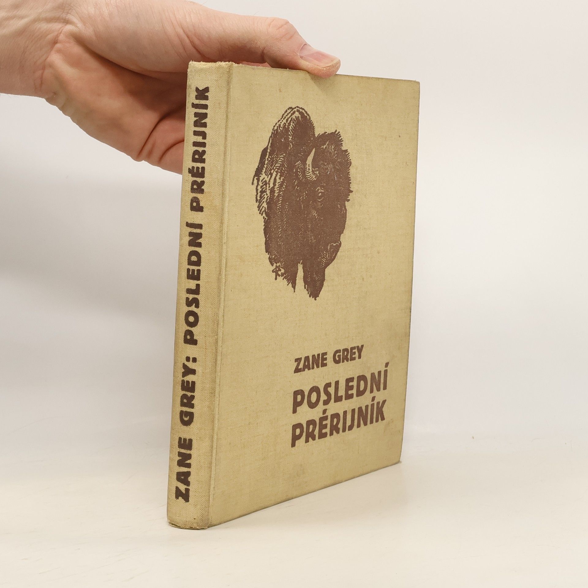 Zane Grey Poslední prérijník