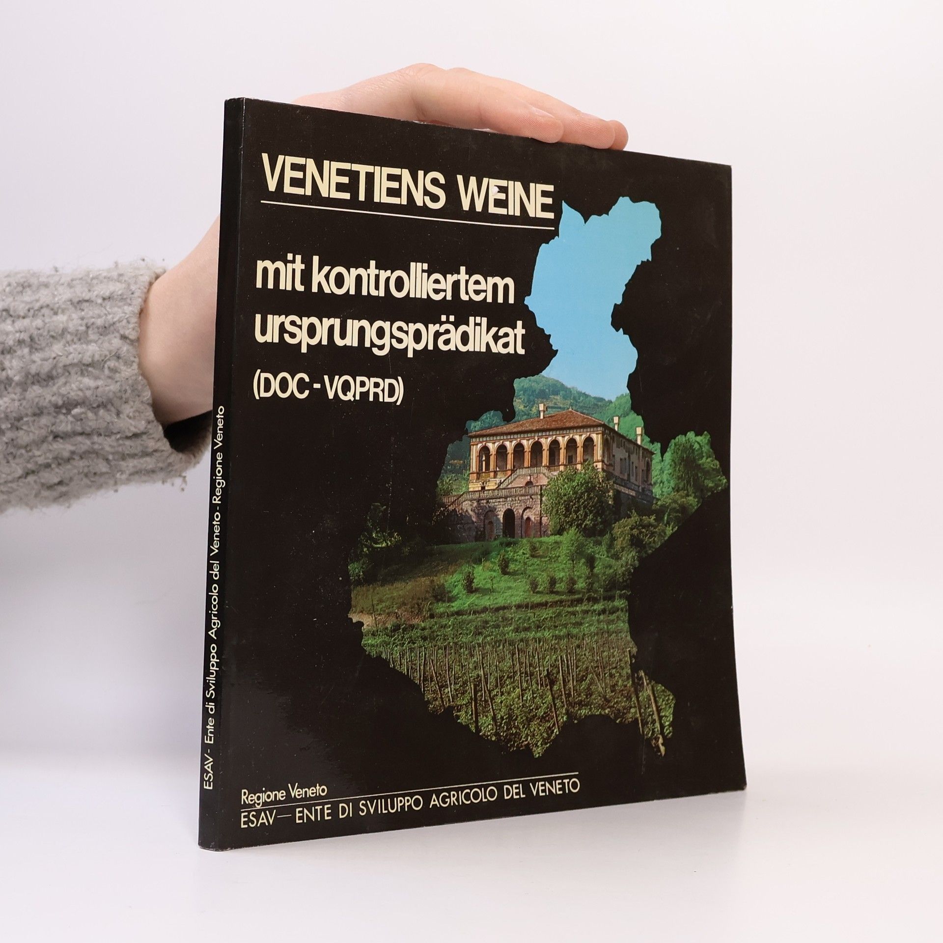 Zeffiro Bocci Venetiens Weine