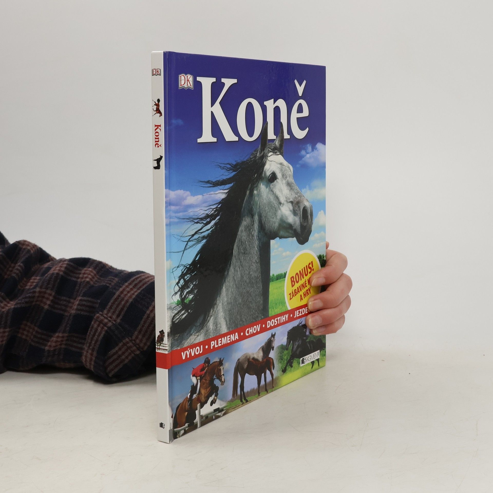 Dagmar Brejlová Koně