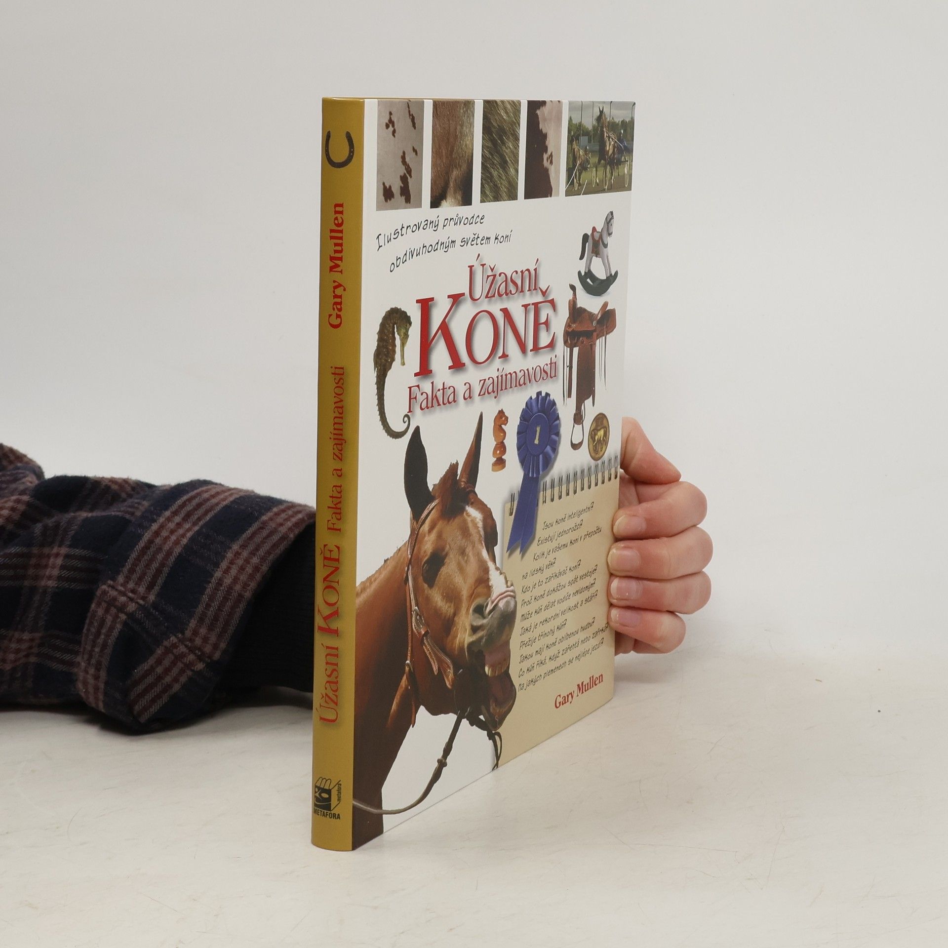 Úžasní koně: fakta a zajímavosti