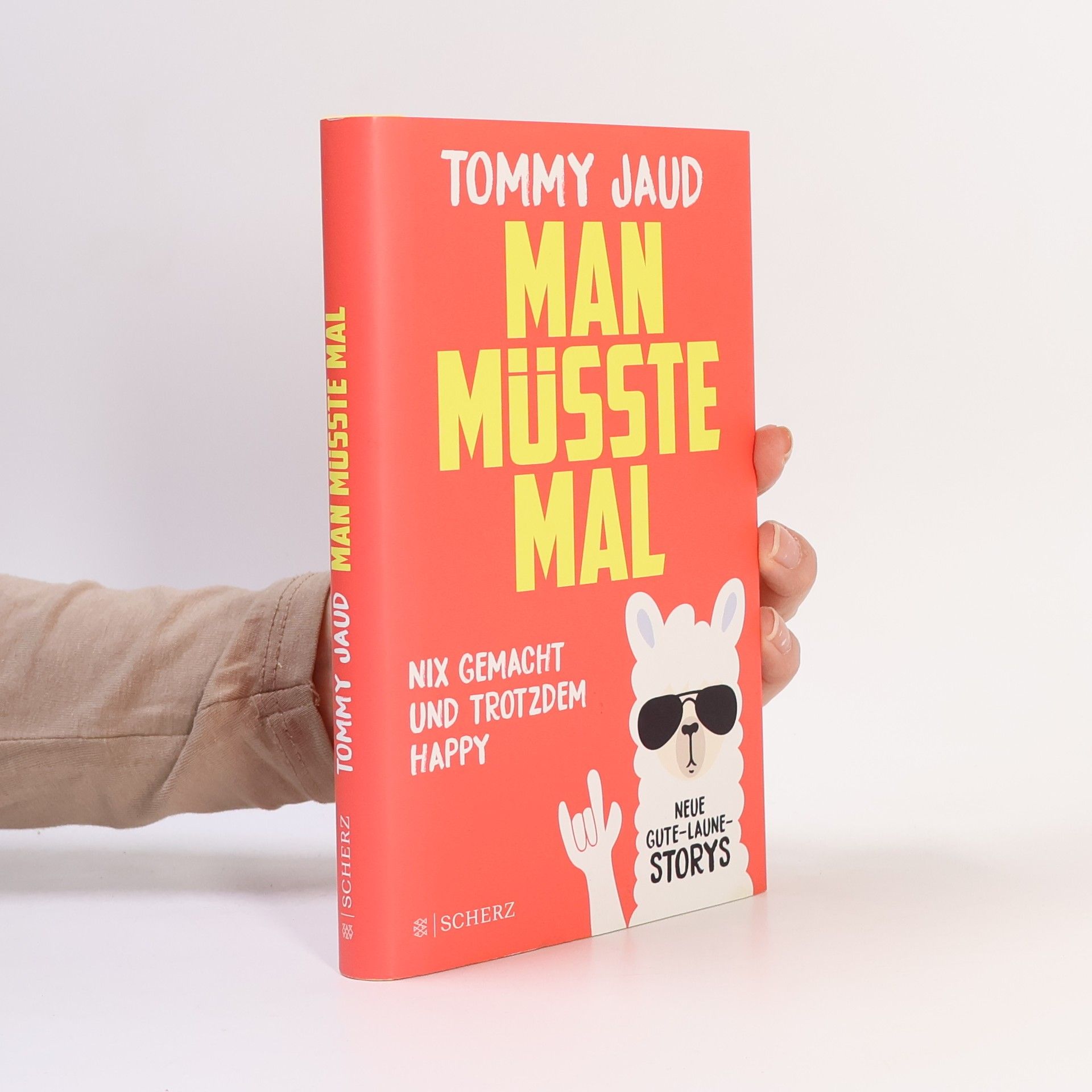 Tommy Jaud Man müsste mal