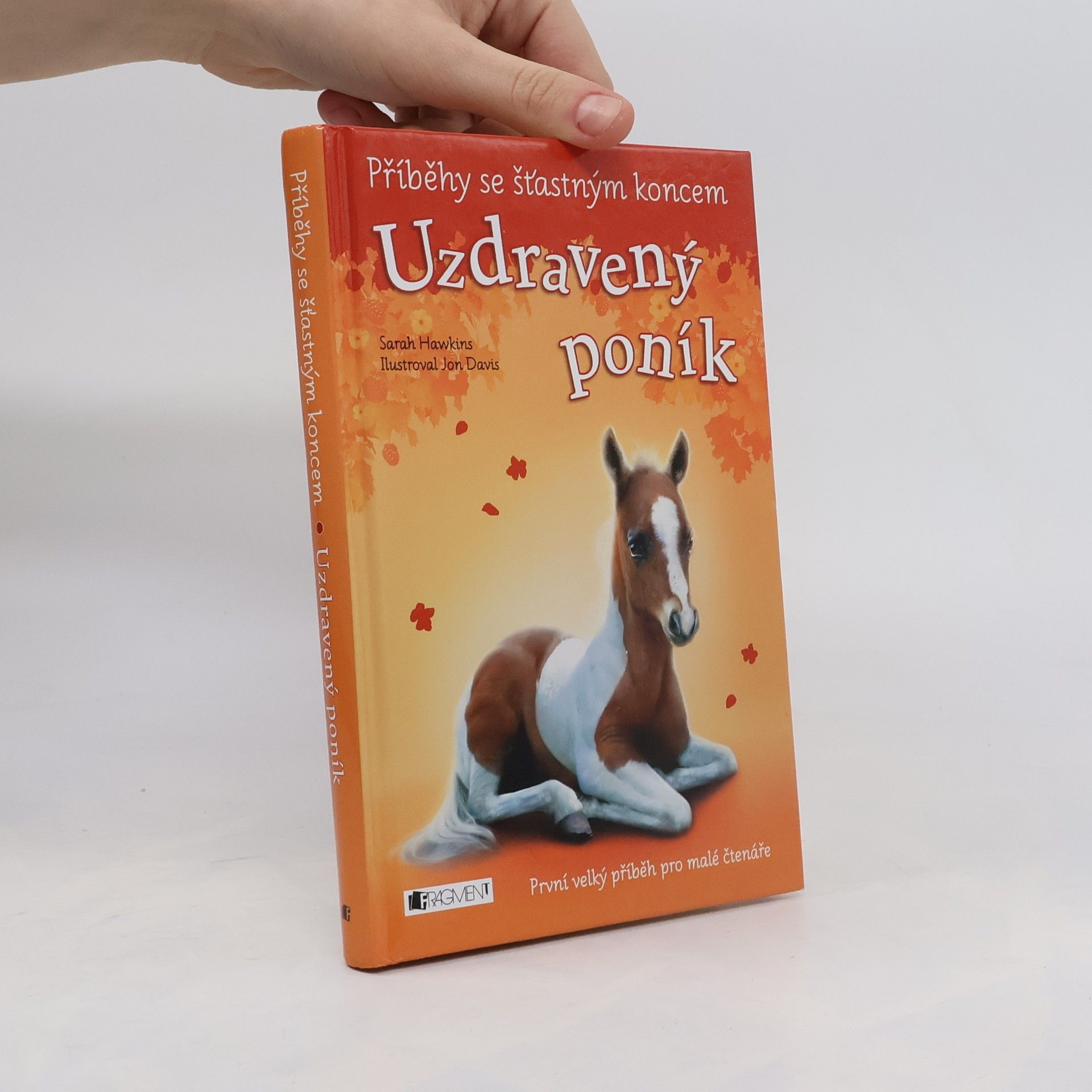 Eva Brožová Uzdravený poník