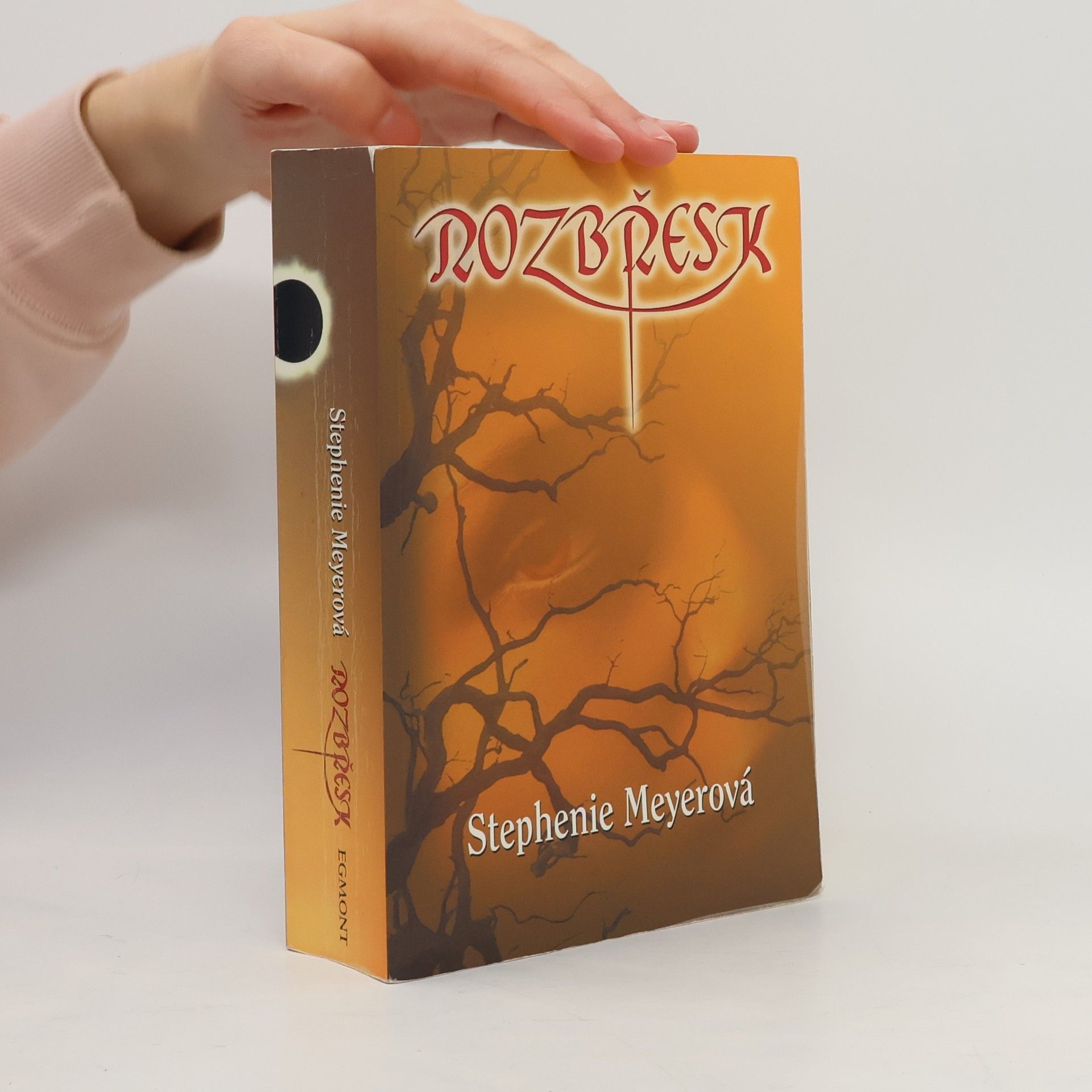 Stephenie Meyer Rozbřesk