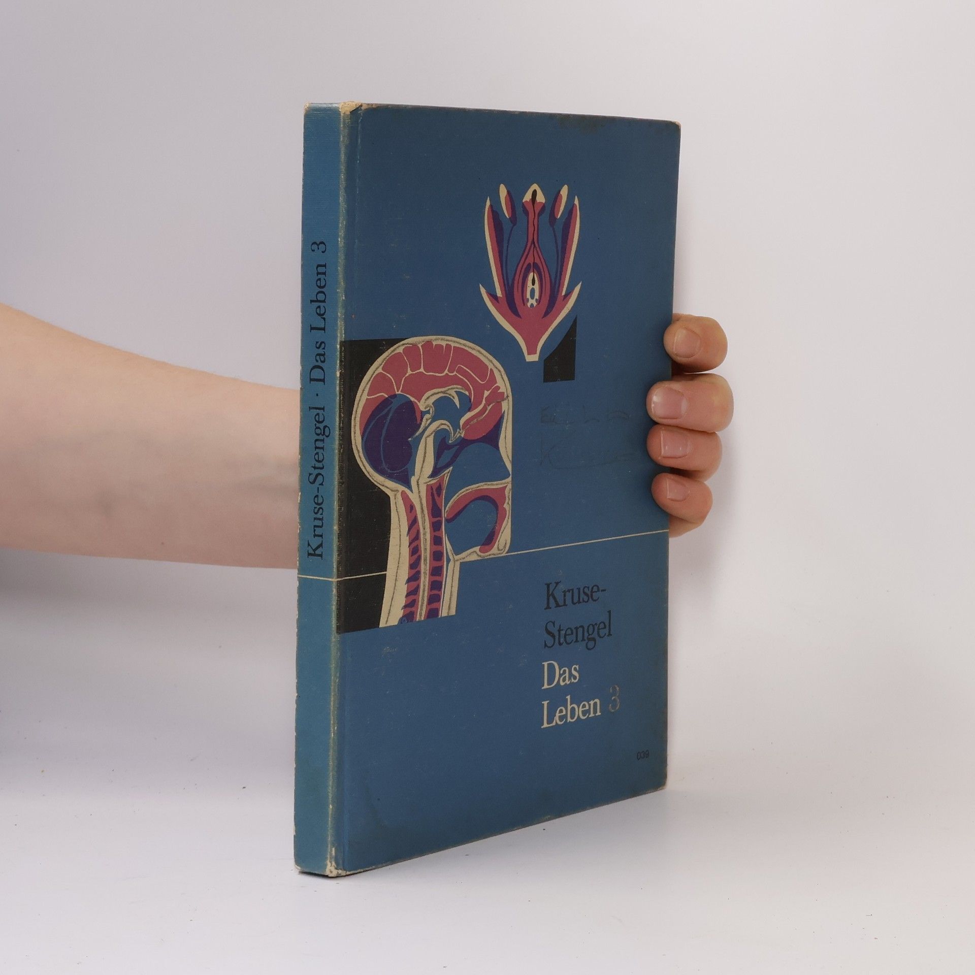 Kruse Stengel Das Leben 3
