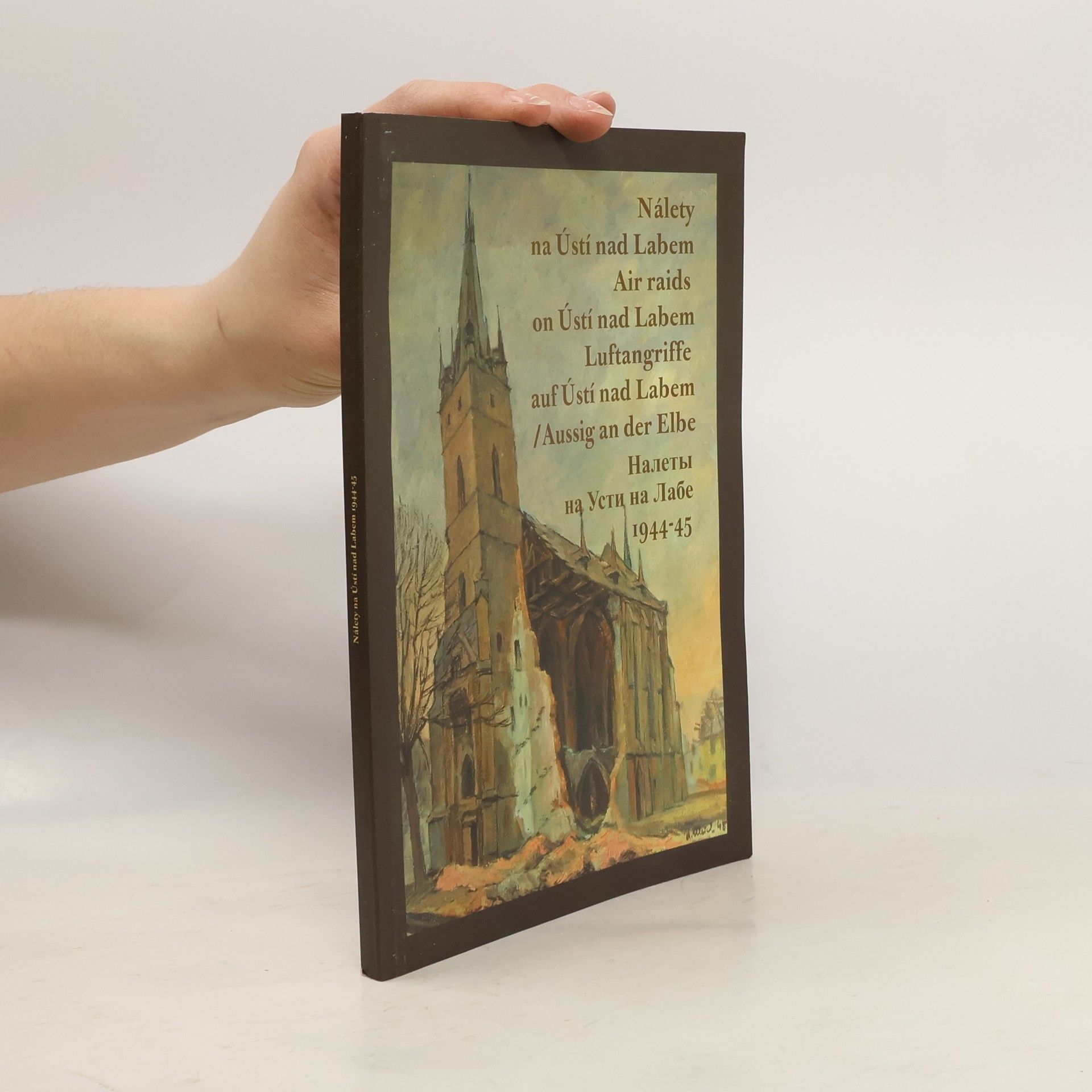 Martin Veselý Nálety na Ústí nad Labem