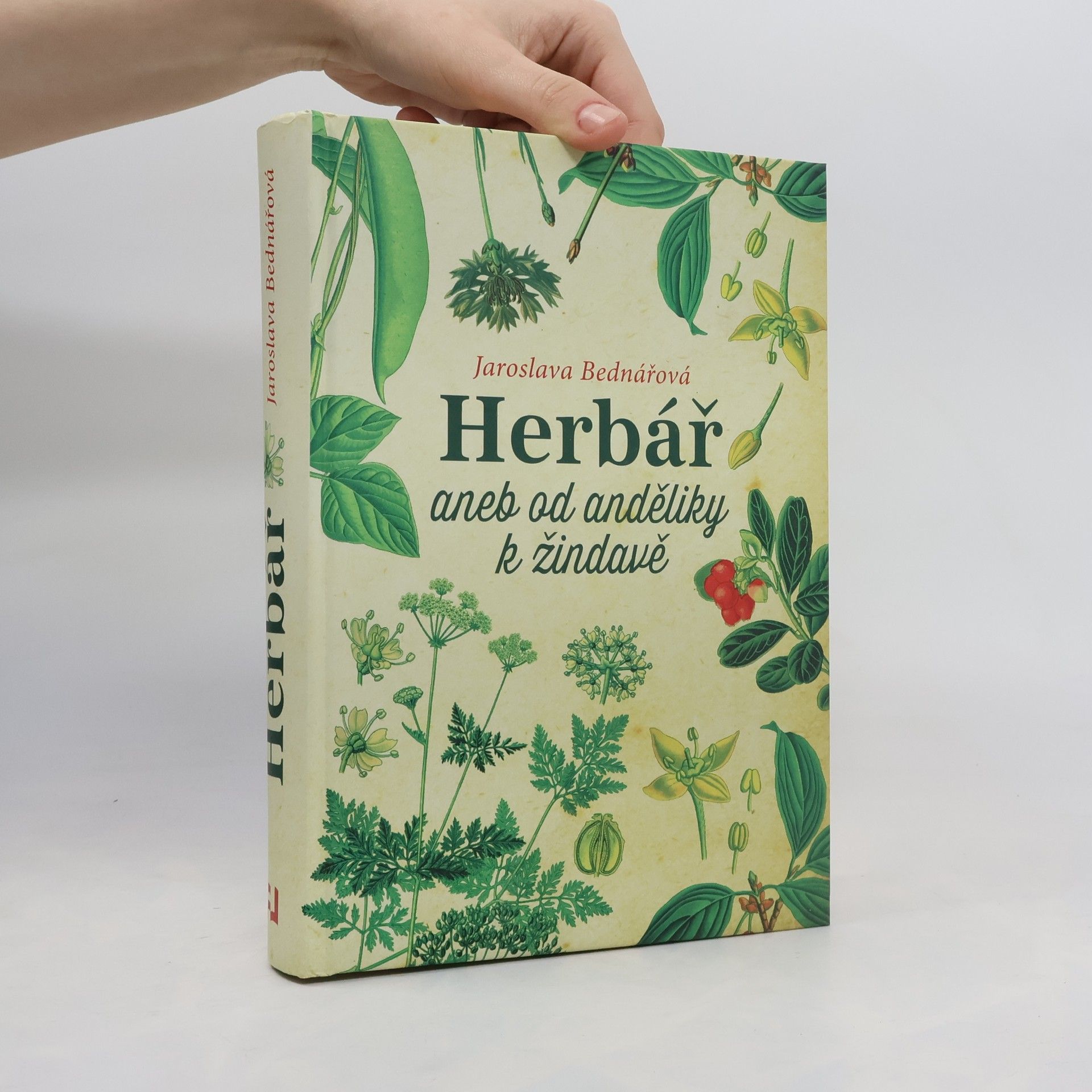 Jaroslava Bednářová Herbář, aneb, Od anděliky k žindavě