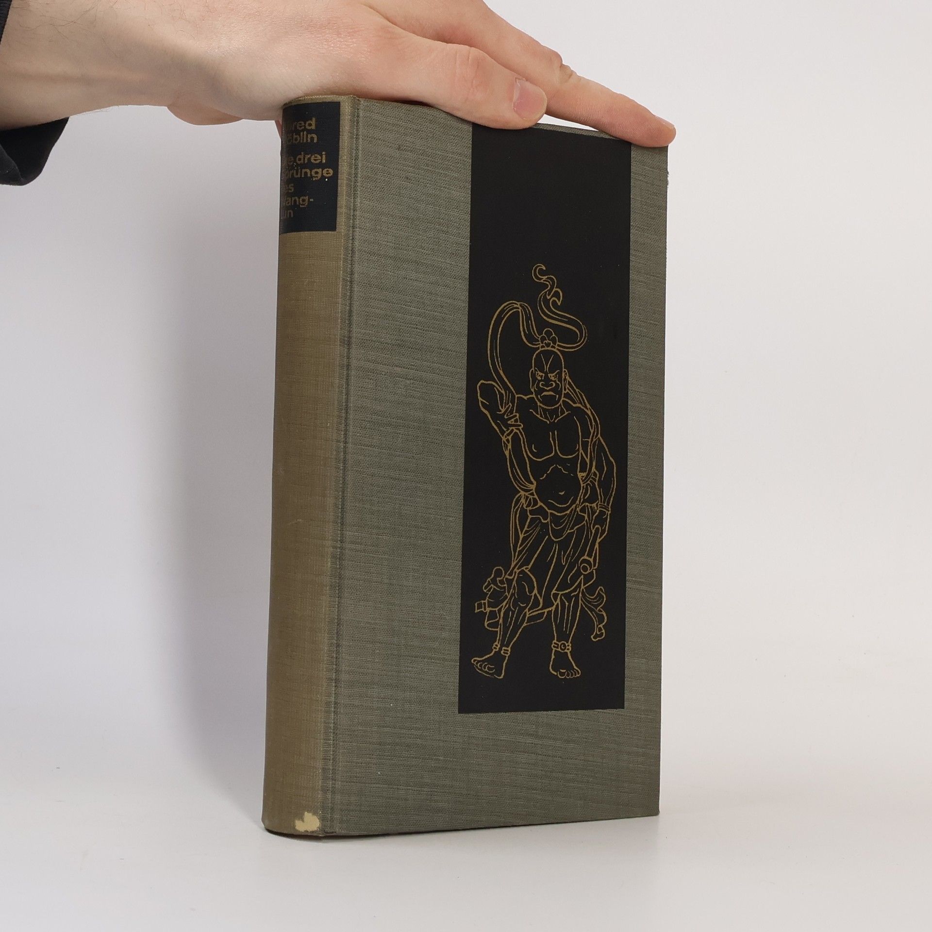 Alfred Döblin Die drei Sprünge des Wang-lun