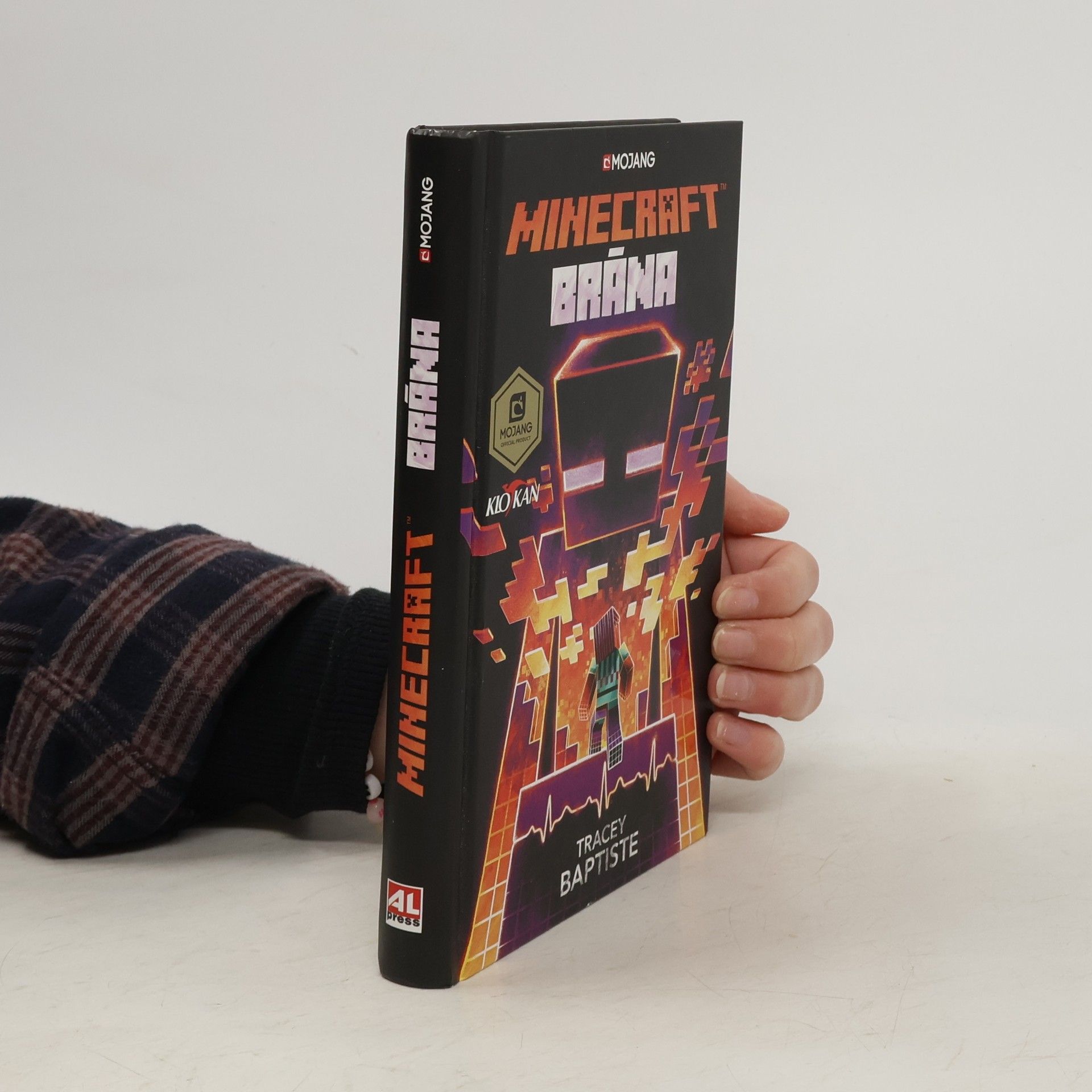 Tracey Baptiste Minecraft. Brána