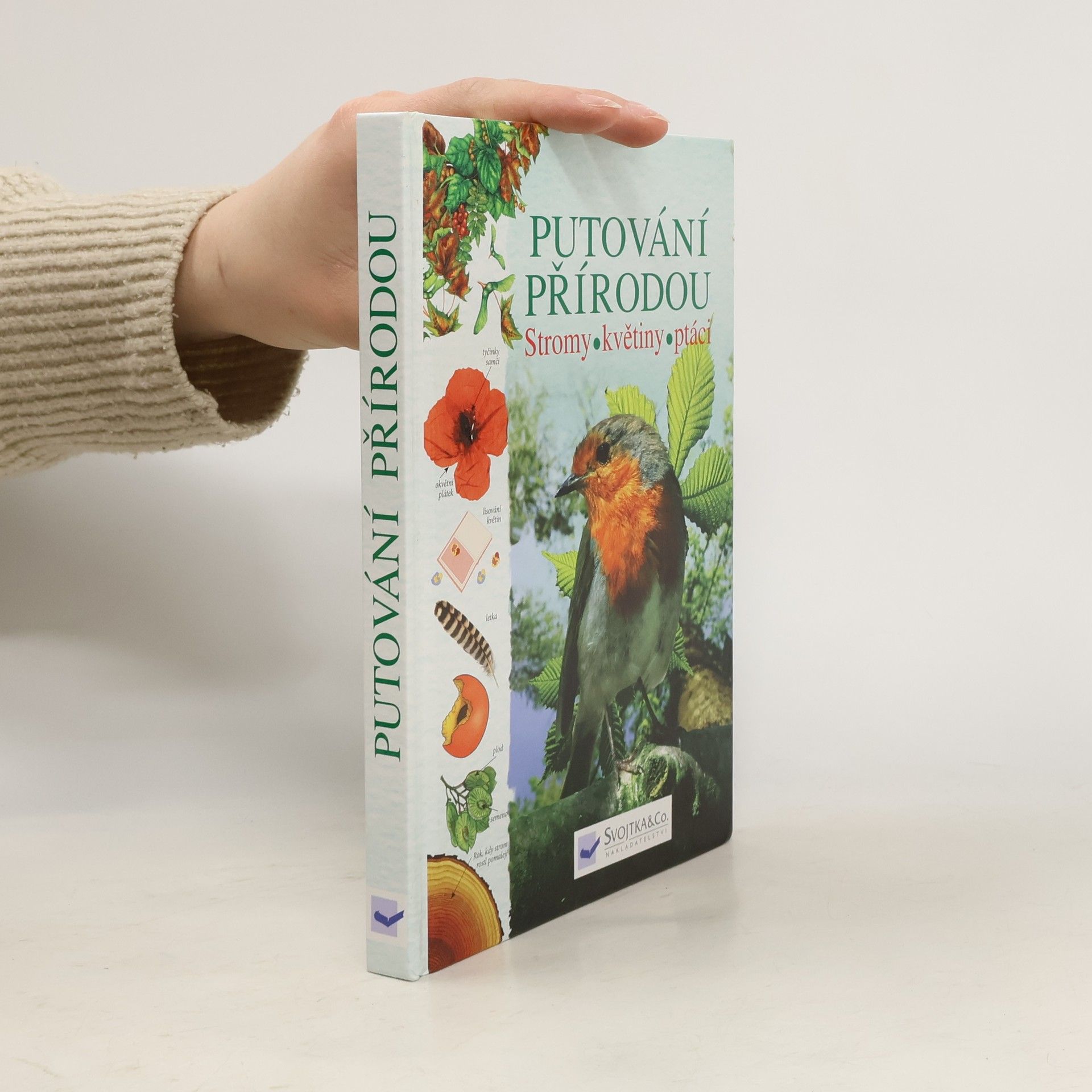 Kolektiv autorů Putování přírodou: Stromy, květiny, ptáci