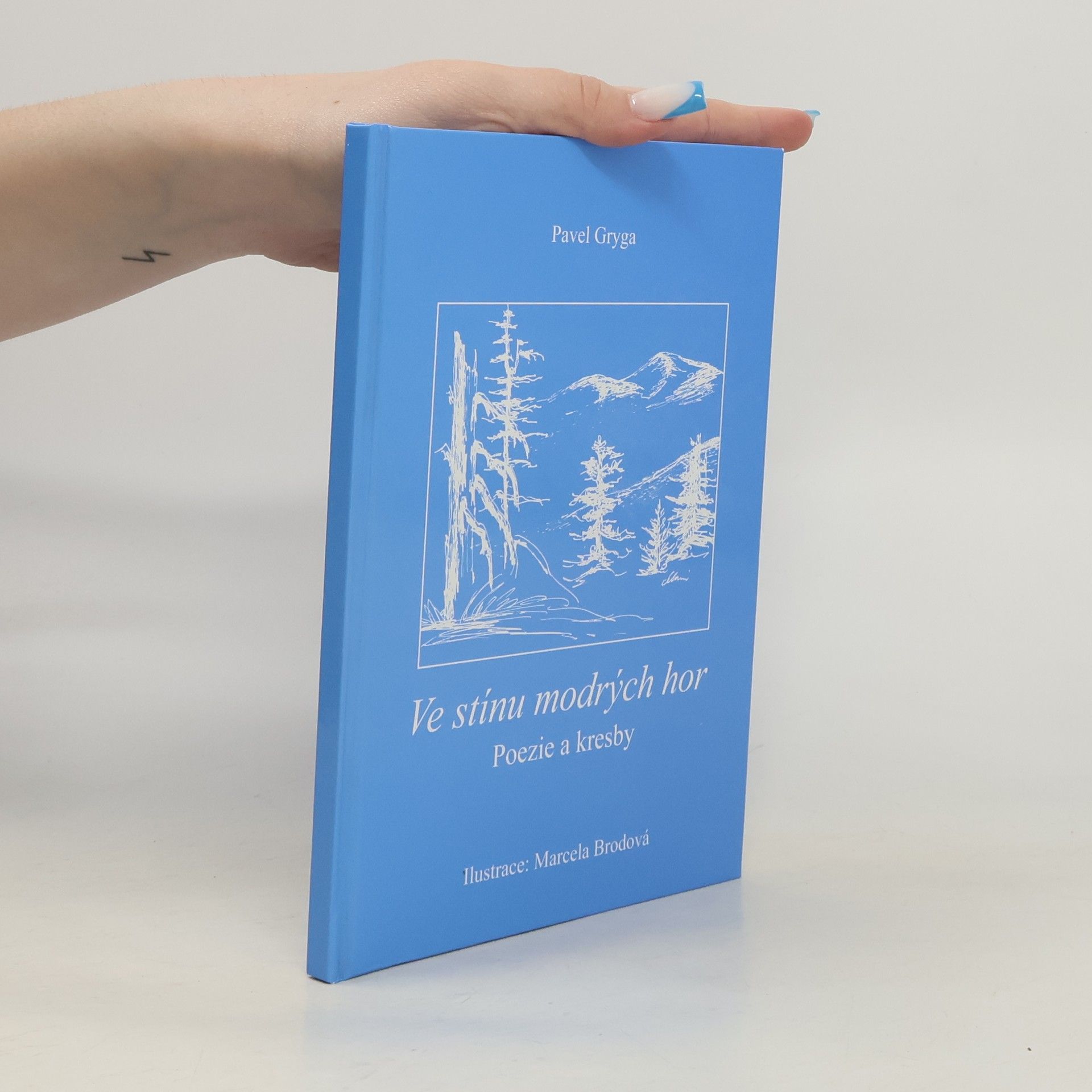 Pavel Gryga Ve stínu modrých hor