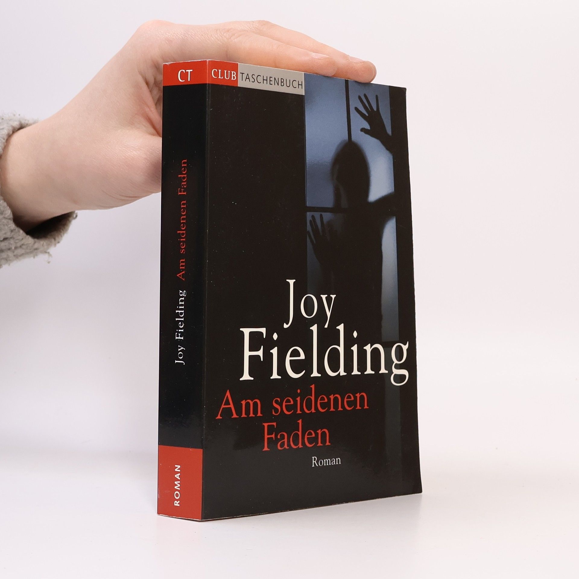 Joy Fielding Am seidenen Faden