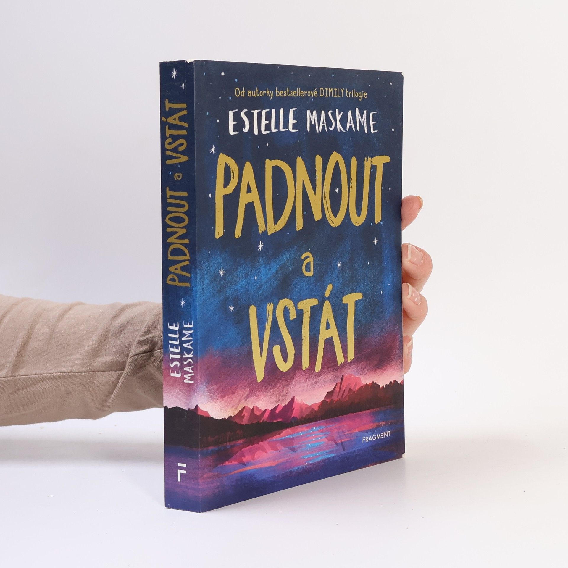 Estelle Maskame Padnout a vstát
