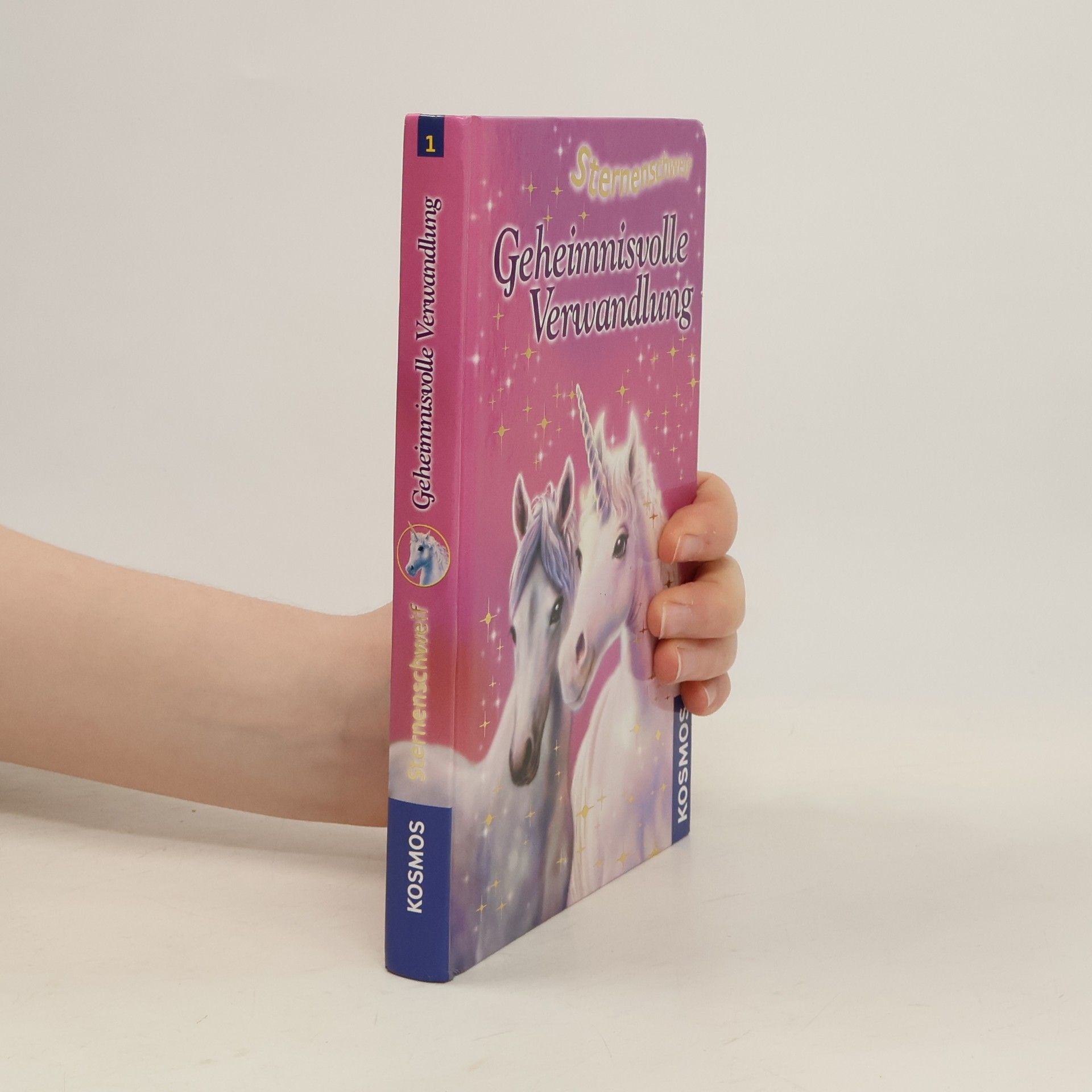 Linda Chapman Geheimnisvolle Verwandlung