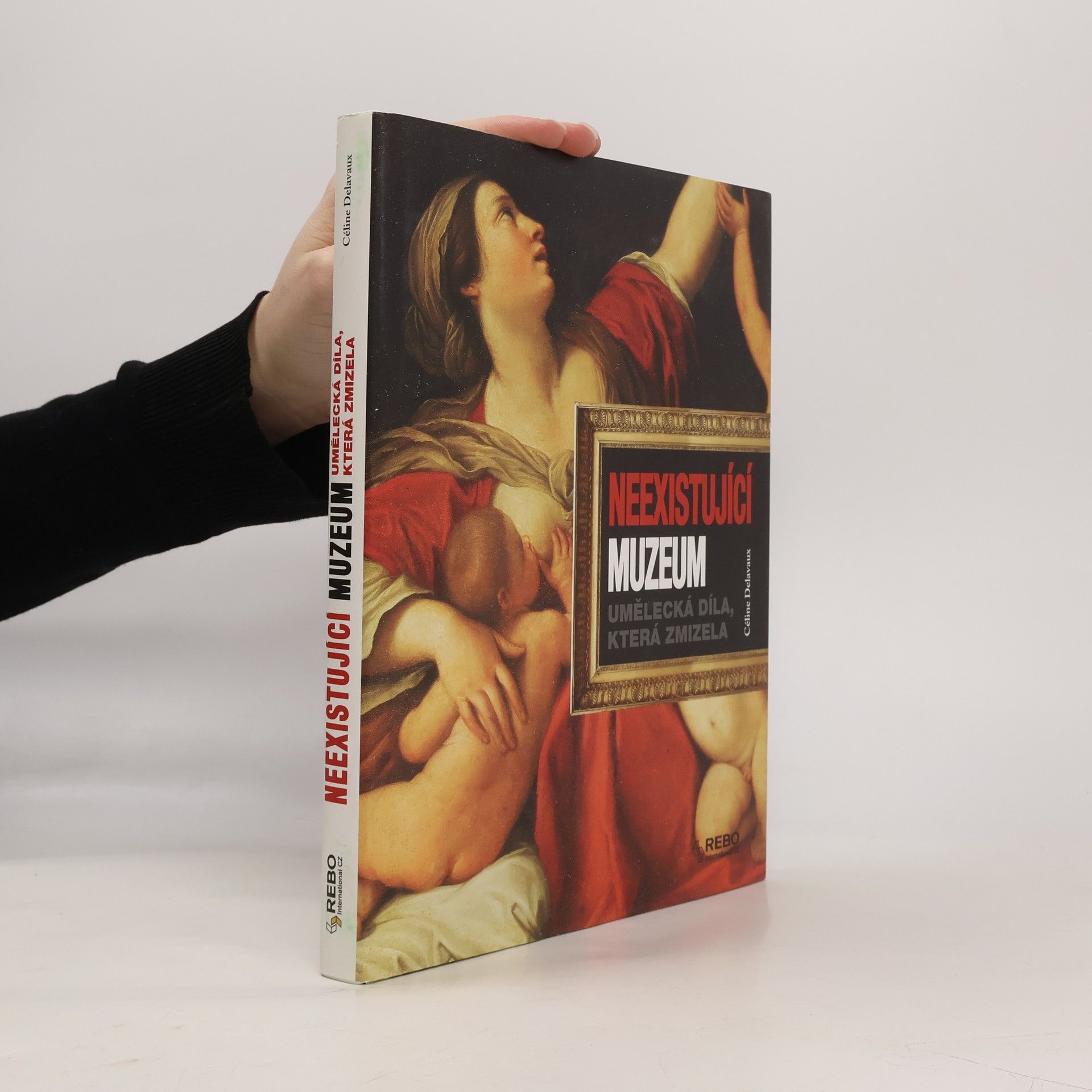 Céline Delavaux Neexistující muzeum : umělecká díla, která zmizela