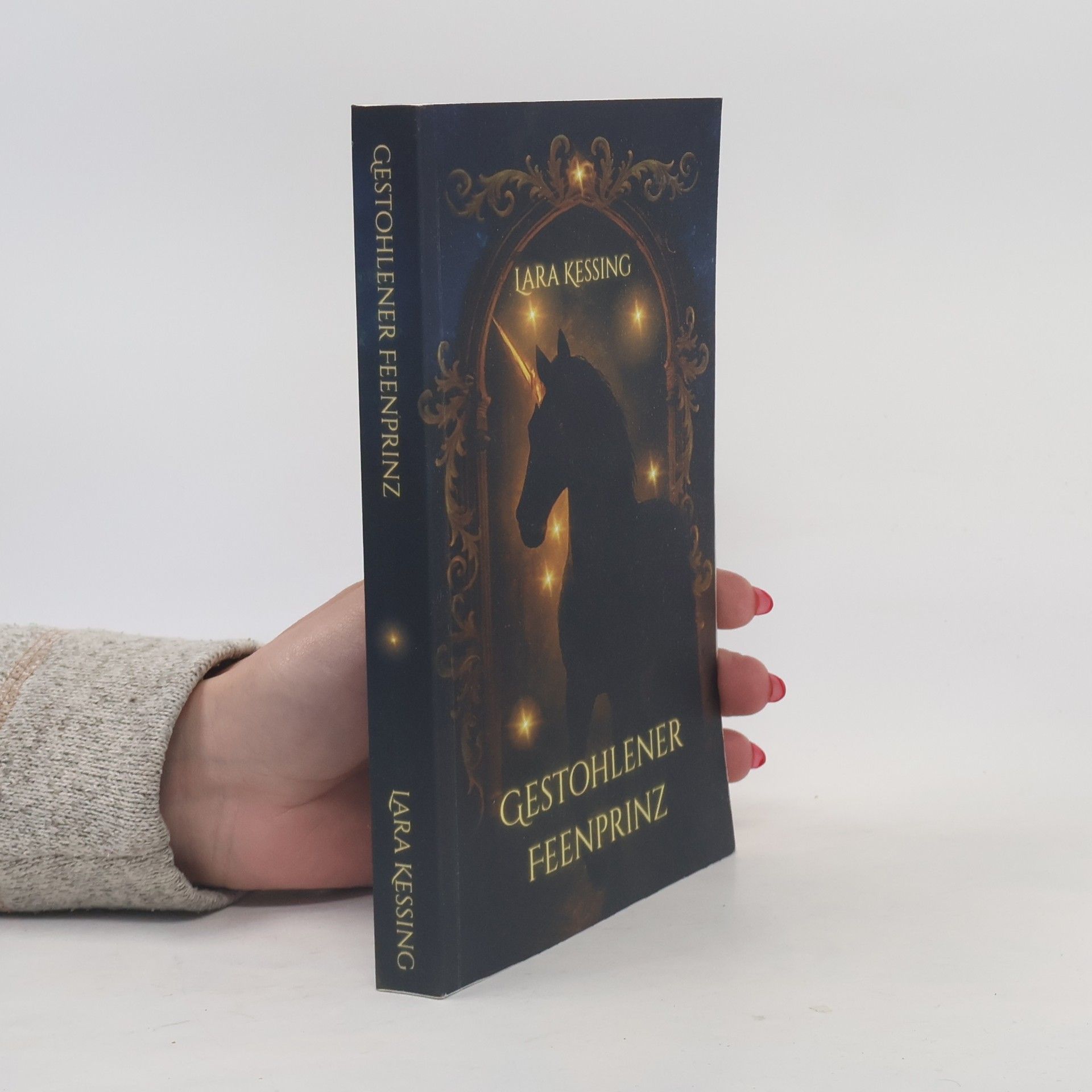 Lara Kessing Gestohlener Feenprinz