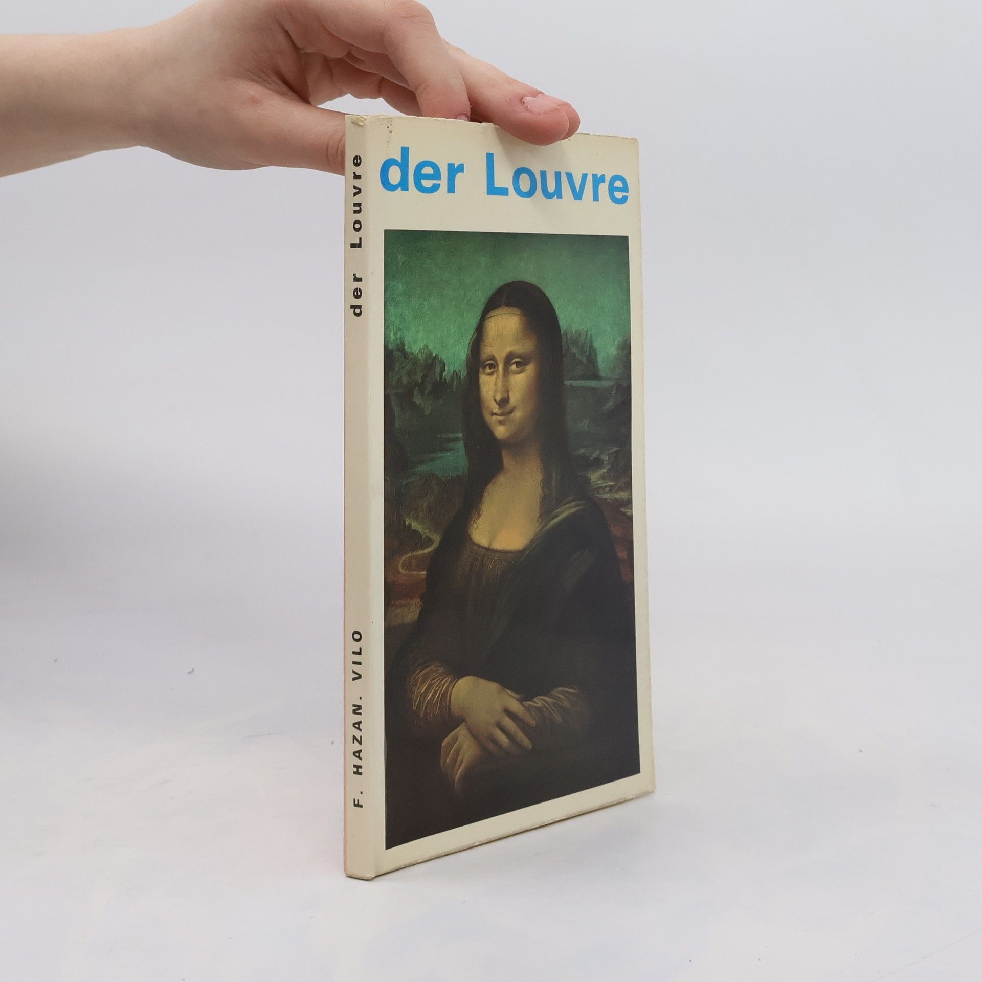 Michael Gallet Der Louvre