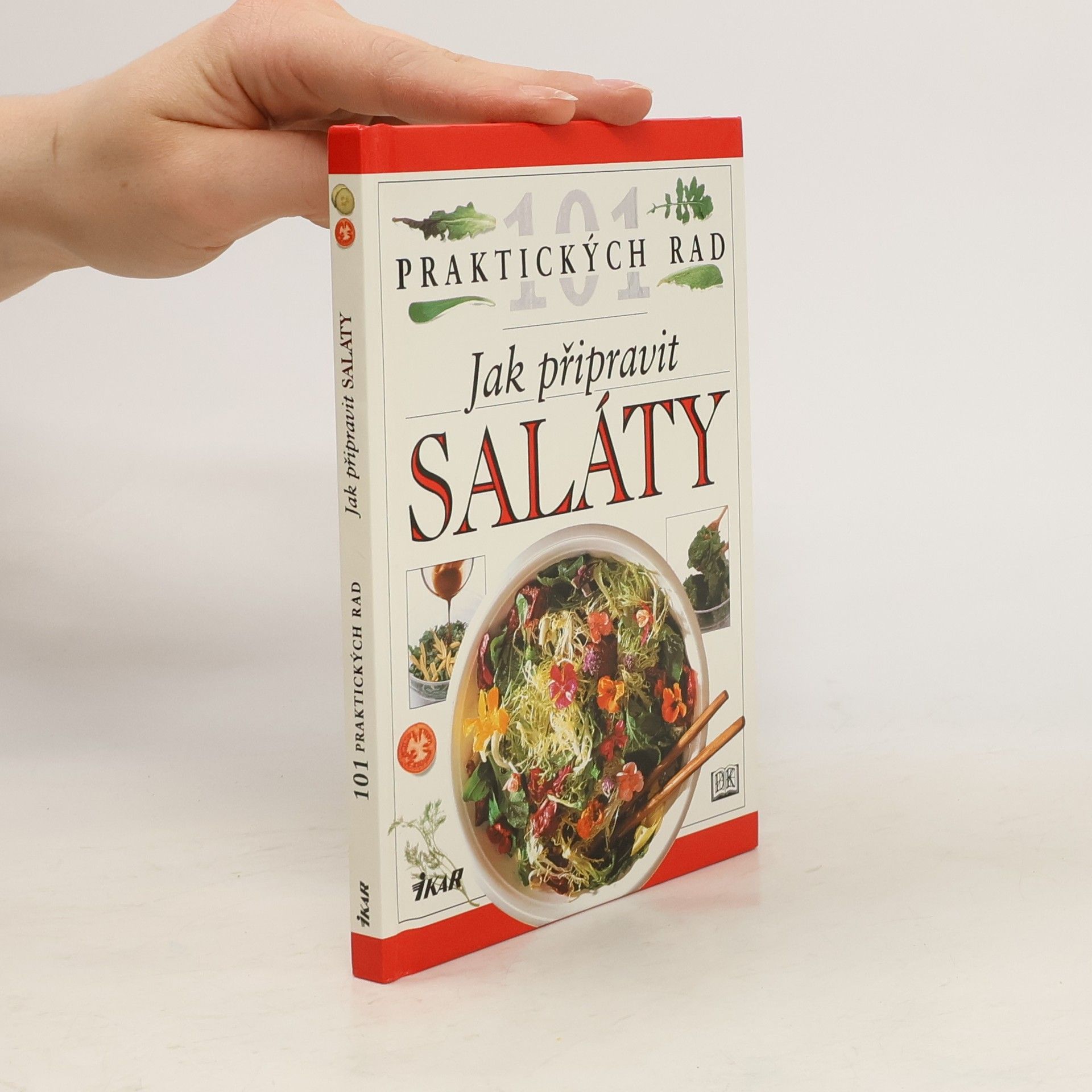 Anne Willan Jak připravit saláty