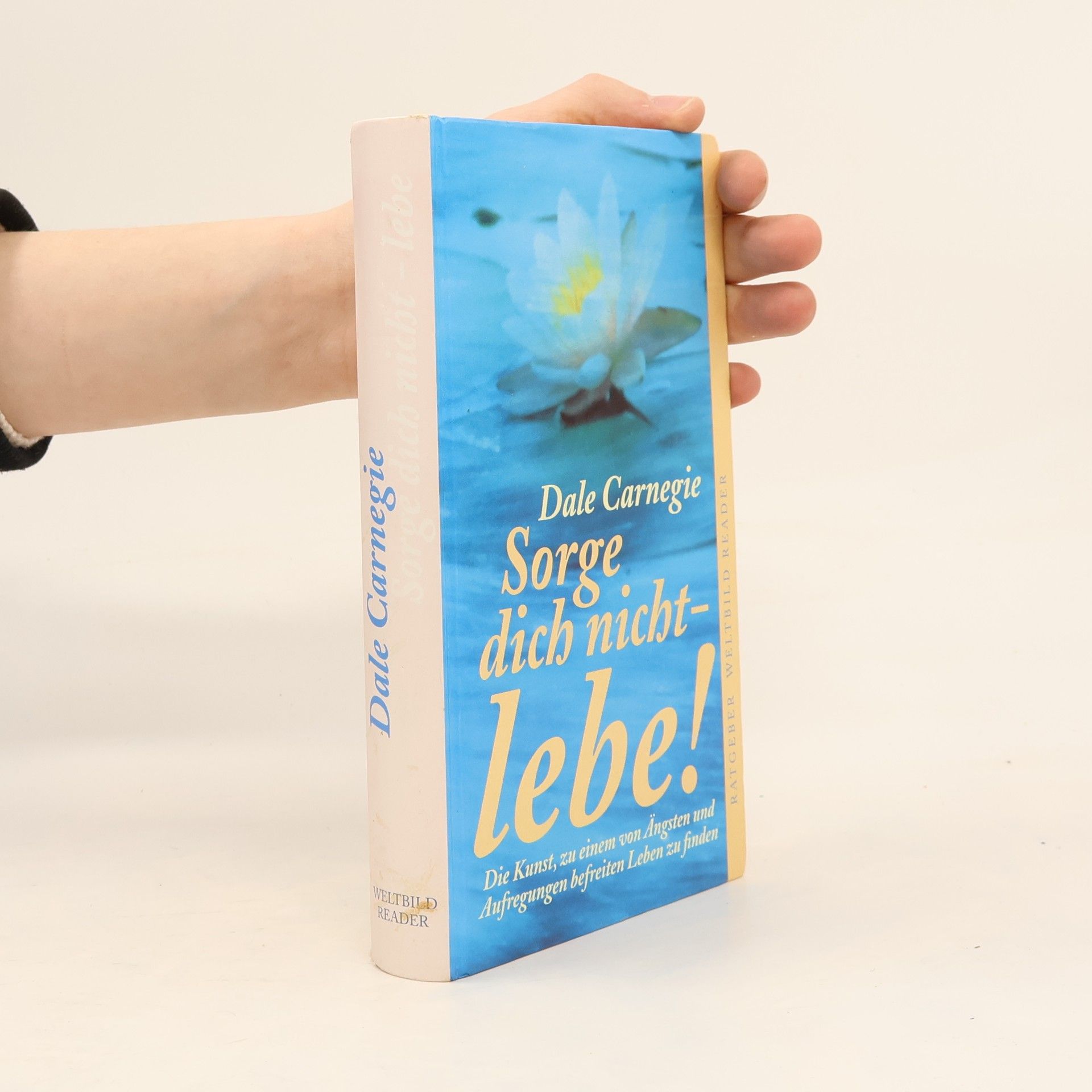 Dale Carnegie Sorge dich nicht - lebe!