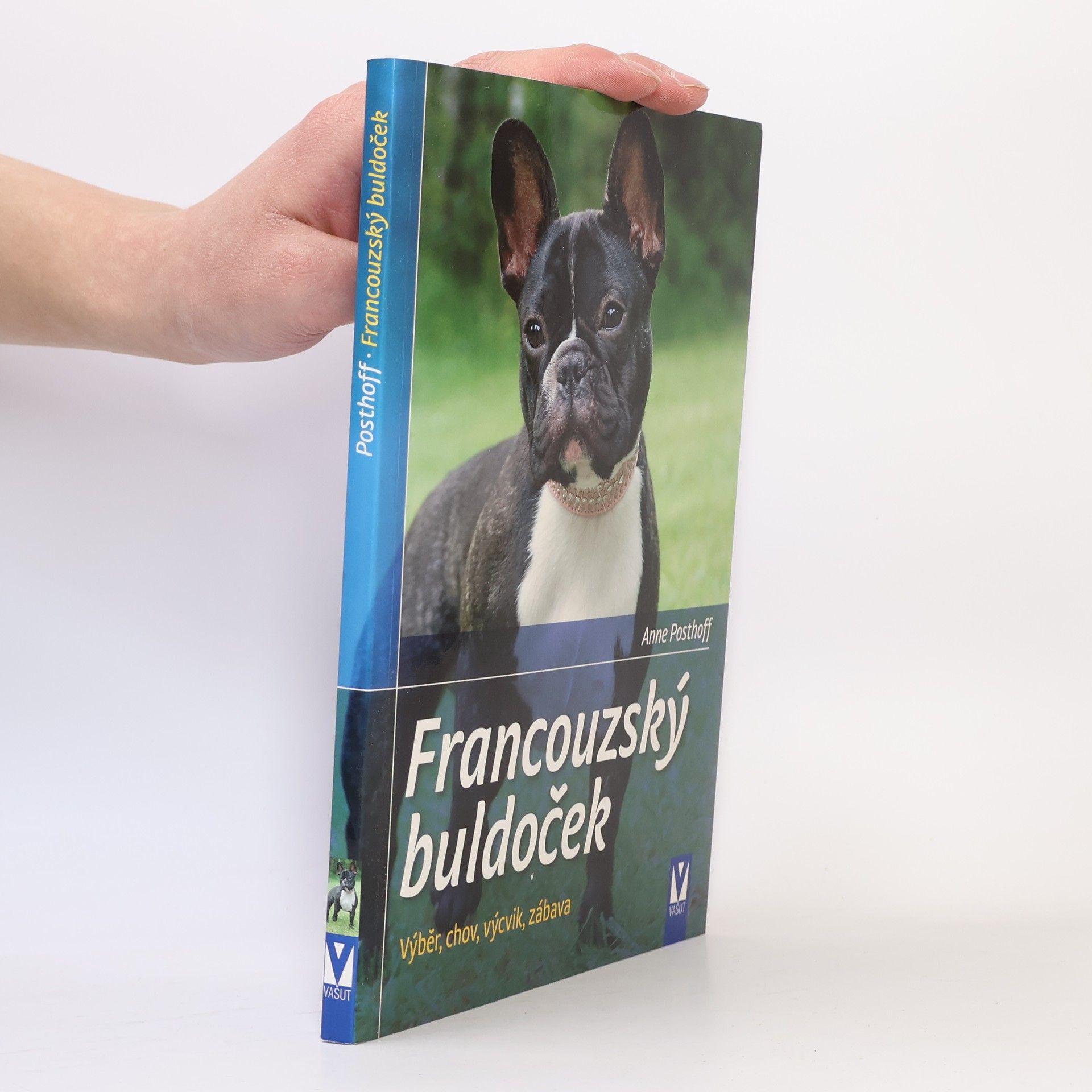 Francouzský buldoček. Výběr, chov, výcvik, zábava