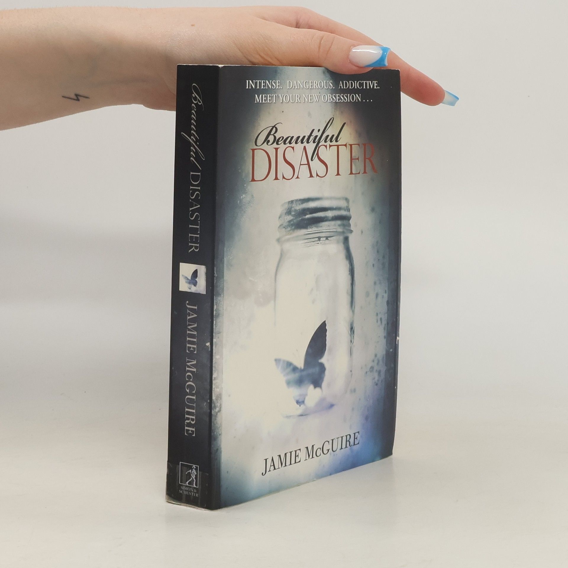 Jamie McGuire Beautiful Disaster