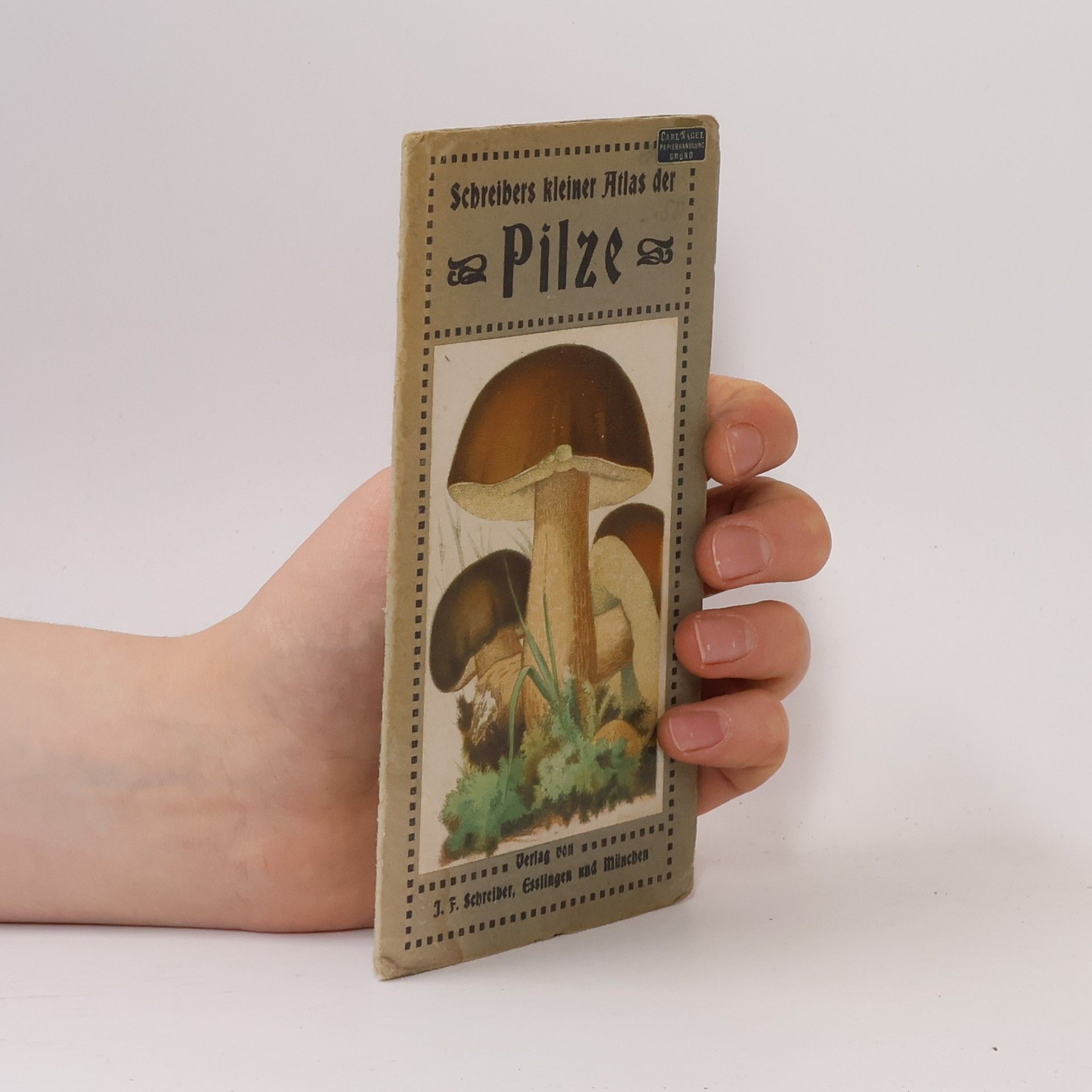 J. F. Schreiber Schreibers kleiner Atlas der Pilze