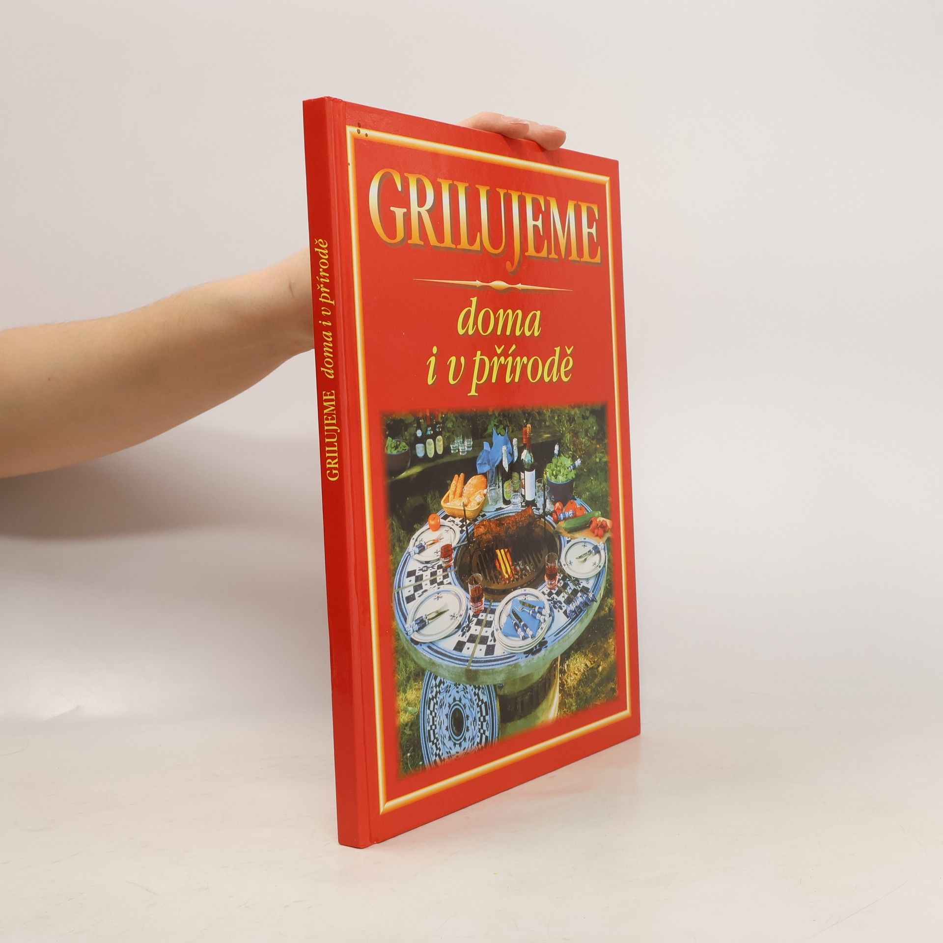 Auteurscollectief Grilujeme doma i v přírodě