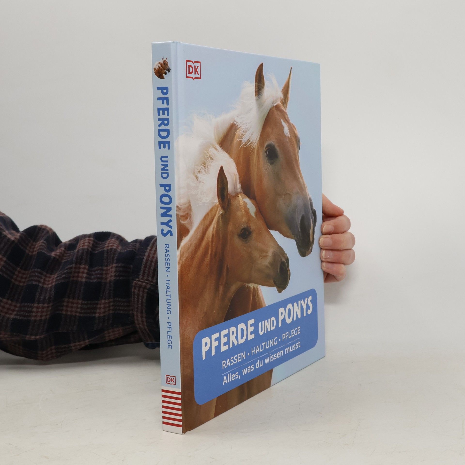 Bettina Borst Pferde und Ponys