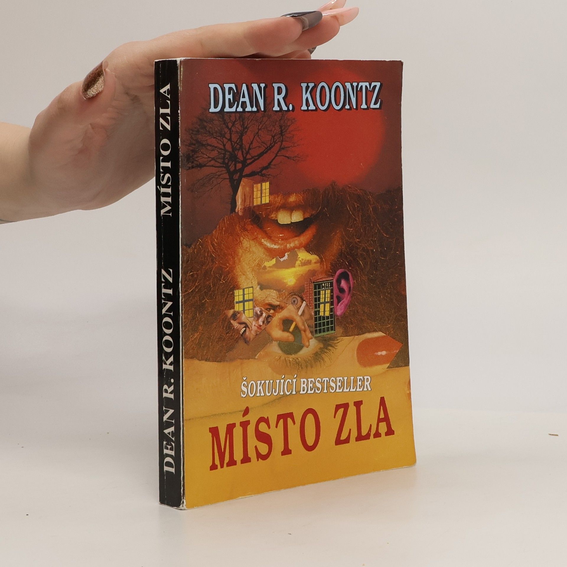 Dean R. Koontz Místo zla