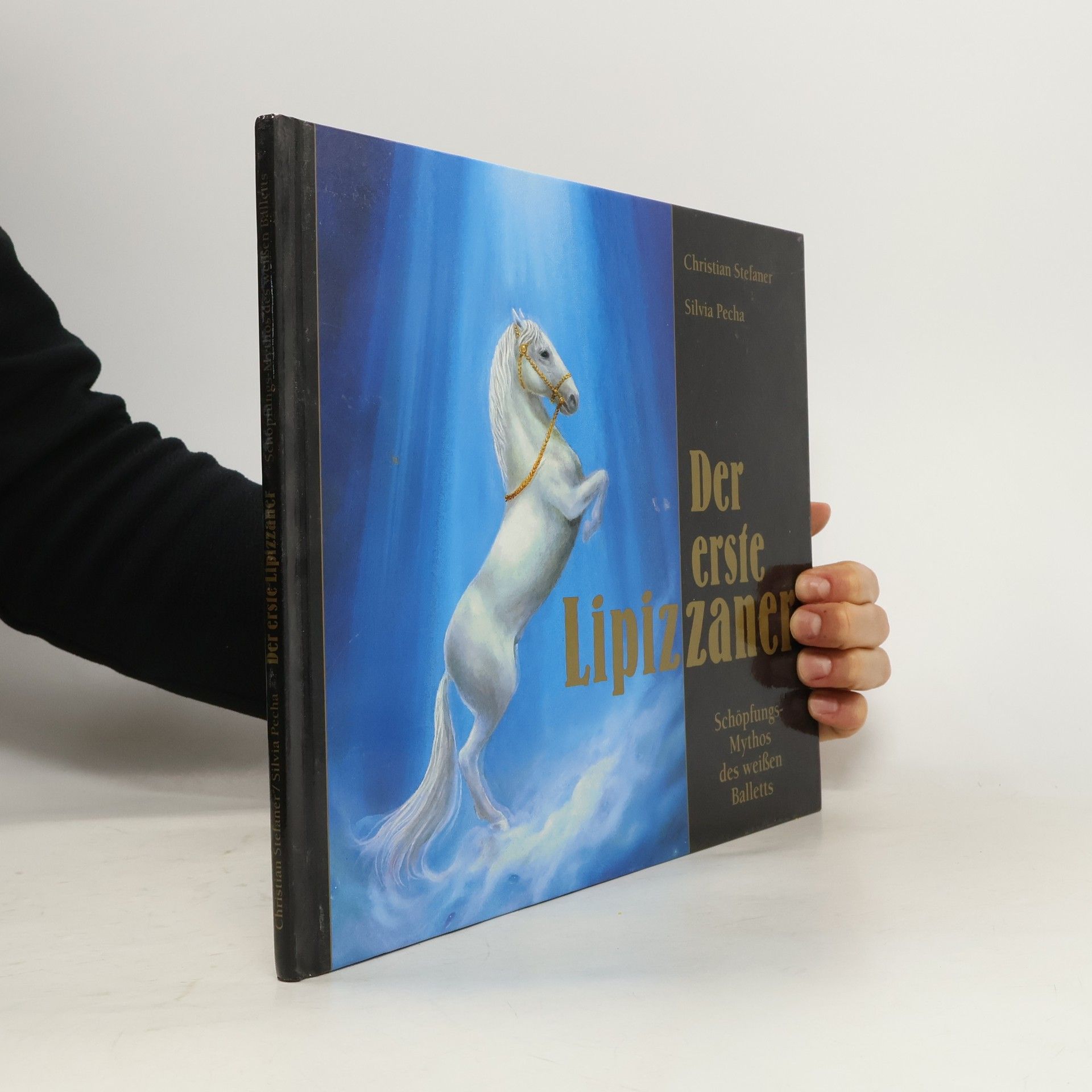 Christian Stefaner Der erste Lipizzaner