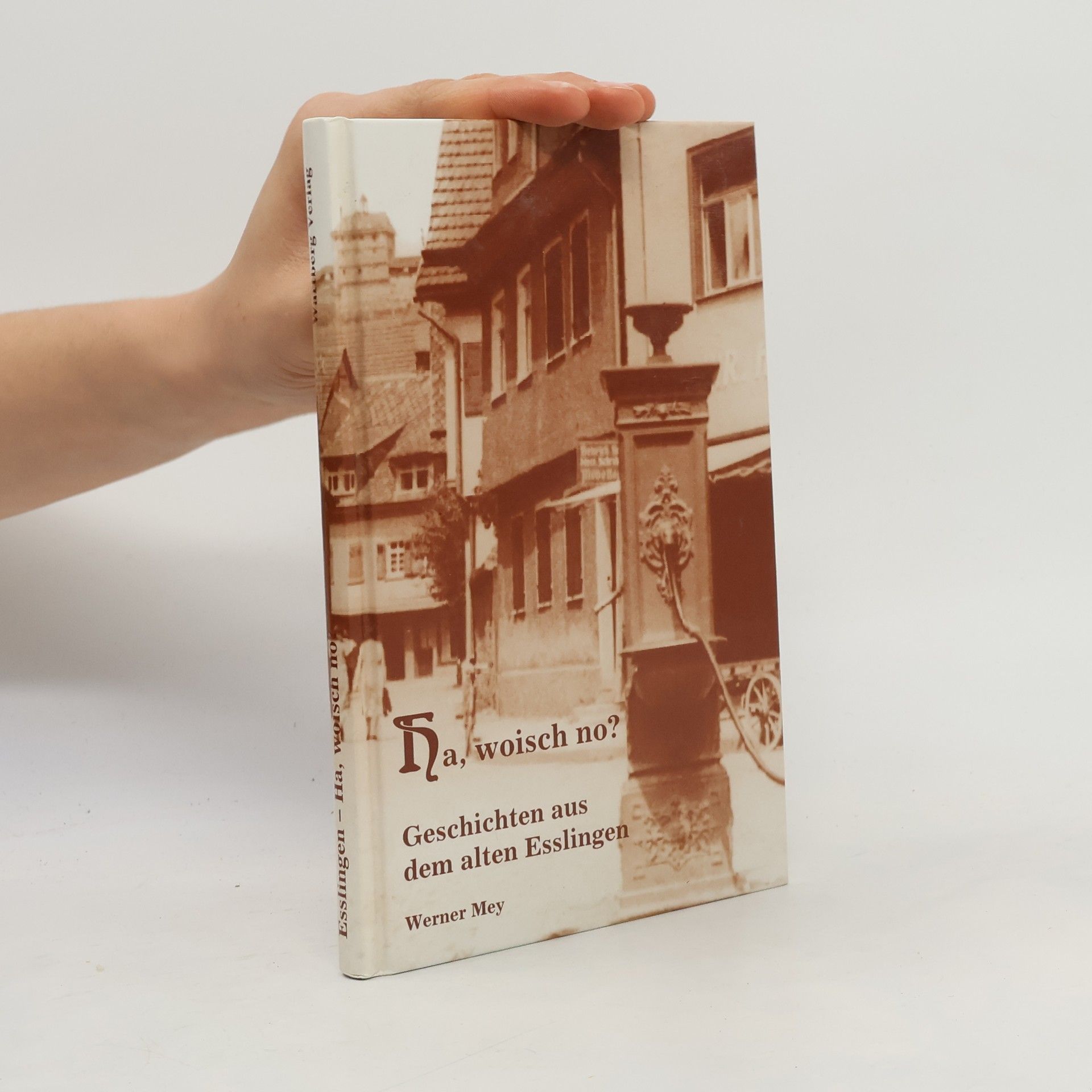 Werner Mey Ha, woisch no?