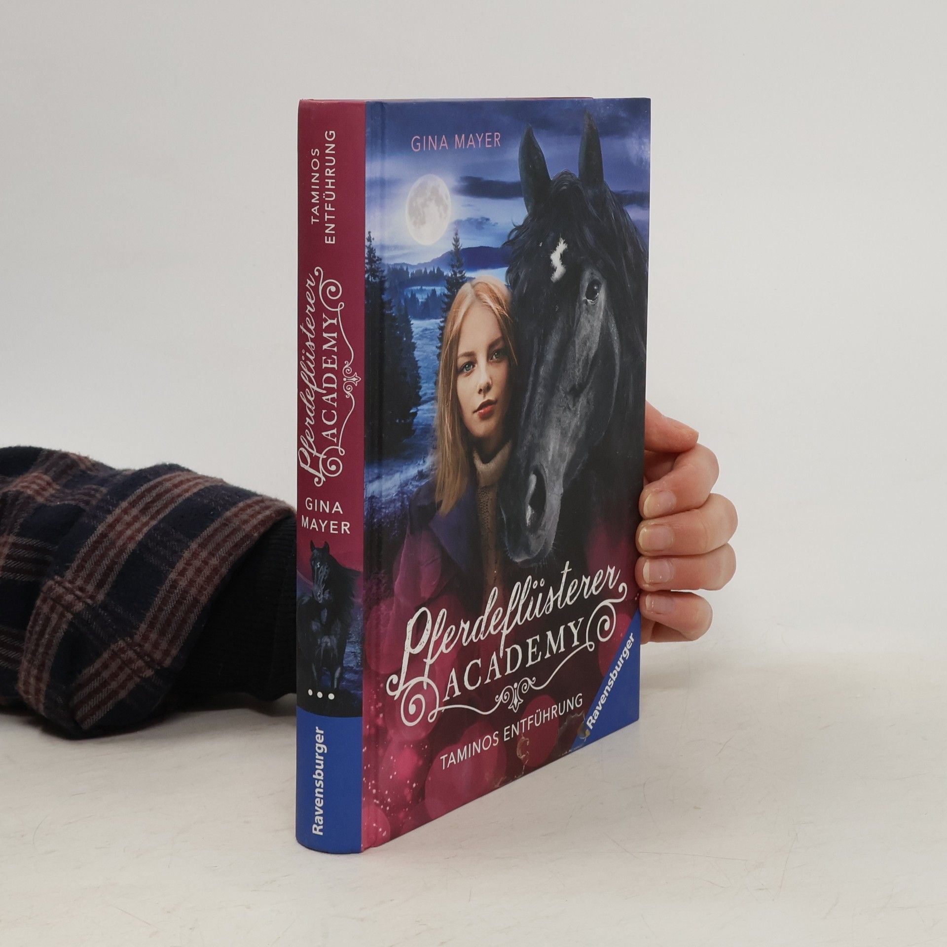 Đina Majer Pferdeflüsterer-Academy, Band 13: Taminos Entführung (berührende Pferde-Reihe im wilden Kanada ab 10 Jahren)