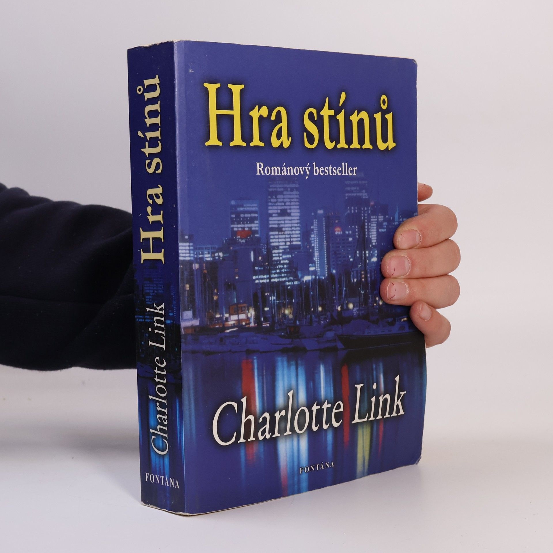 Charlotte Link Hra stínů